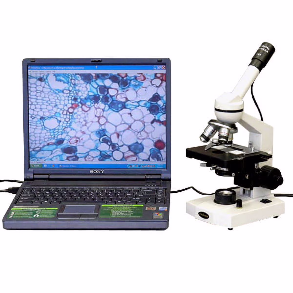 AmScope 40X-2500X Advanced Student Microscope w 3D Stage + 1.3MP USB Camera New