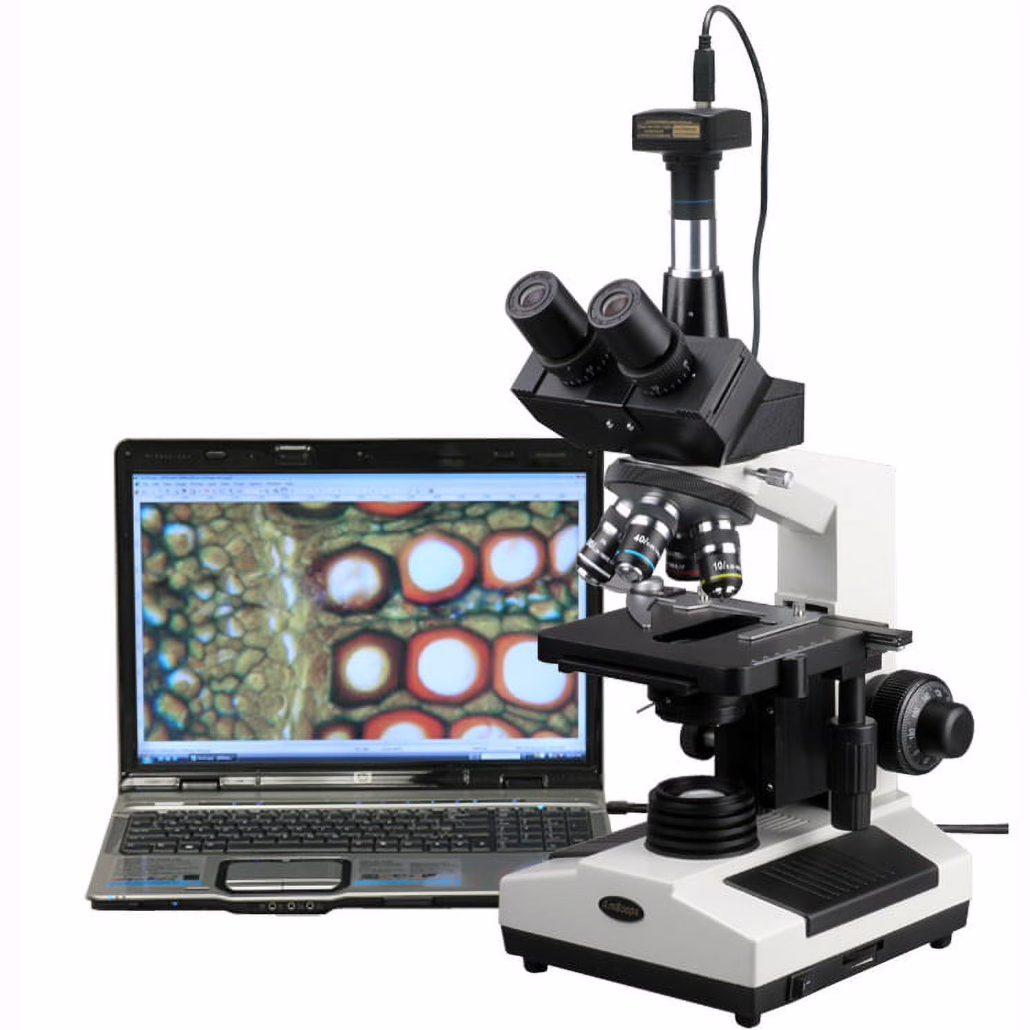 AmScope 40X-2000X Doctor Veterinary Clinic Biological Microscope + 9MP Digital Camera New