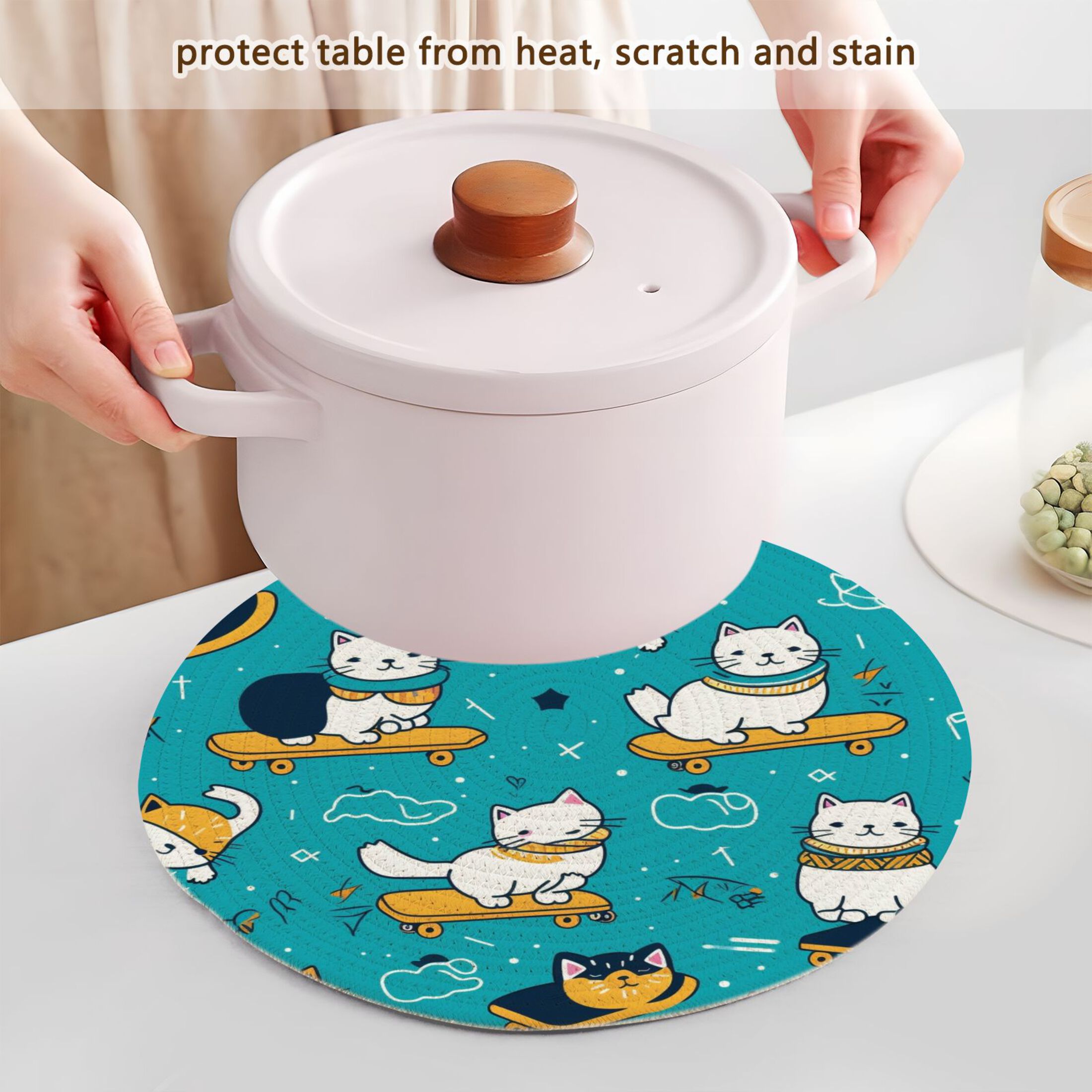 Cat with Skateboard 3 PCs Pot Holders Trivets Kitchen 15