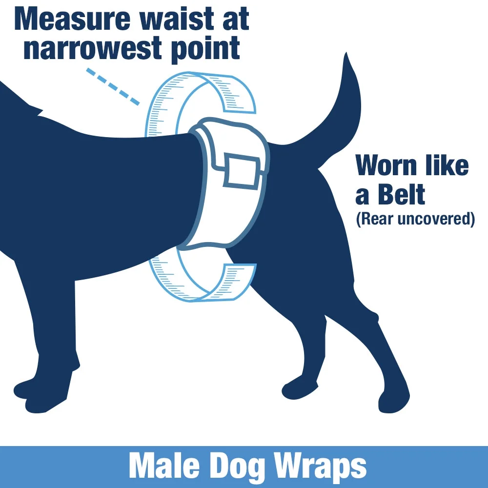 NEW- ValueWrap Male Wraps, Disposable Dog Diapers, 1-Tab Small, Lavender, 72 Count