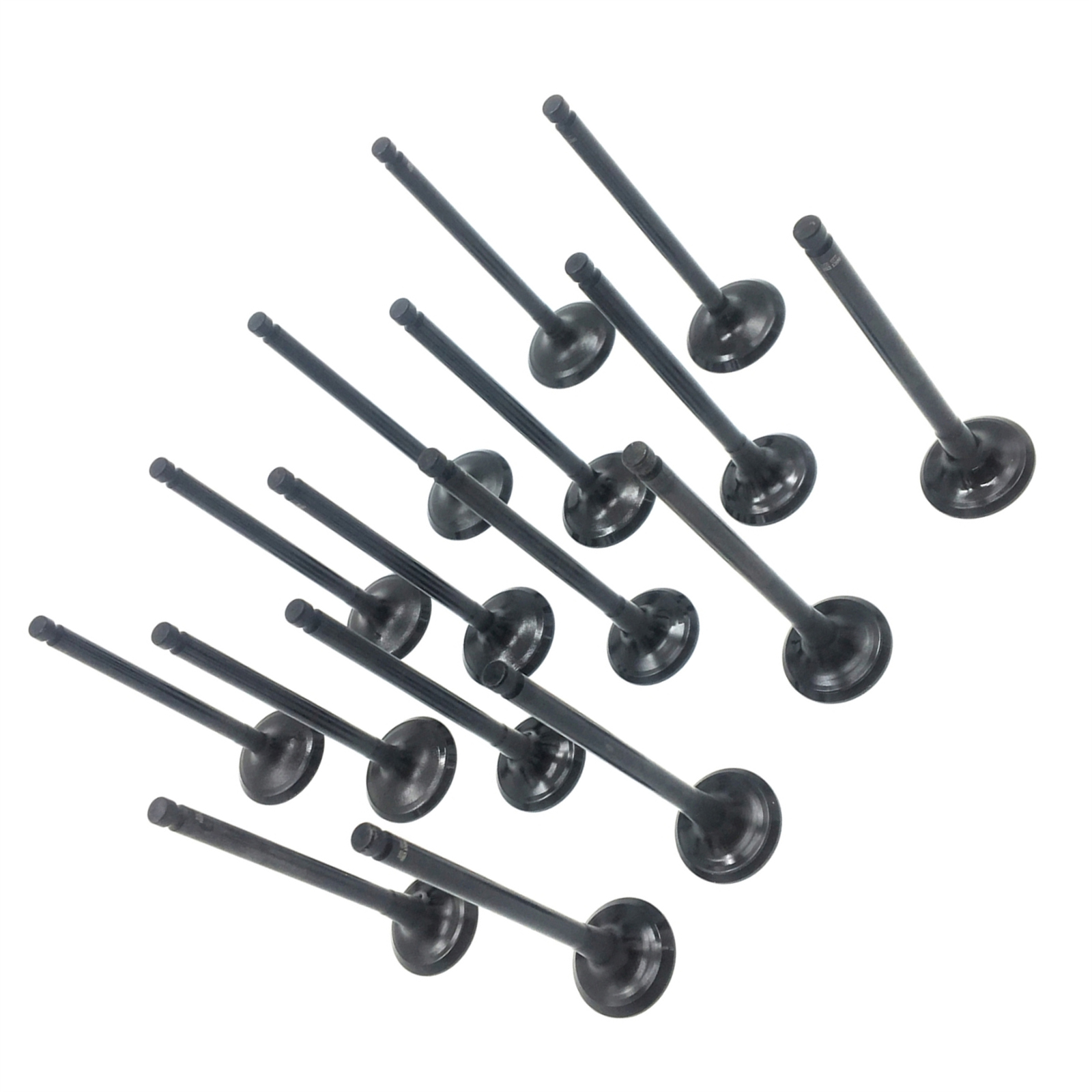 Intake Exhaust Valve Kit Fits 92-06 Hyundai Elantra Sonata Santa Fe Kia Optima