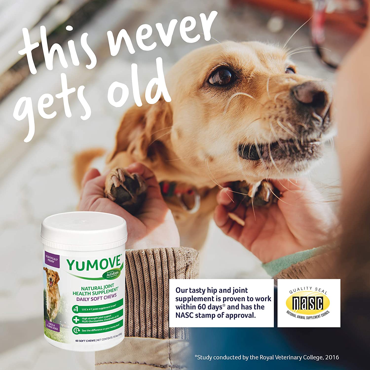 Lintbells YuMOVE Joint Supplement Dog Chews - Contains Glucosamine, Green Lipped Mussel - Natural Relief from Hip Ache, Stiff Joints - 1 Month’s Supply