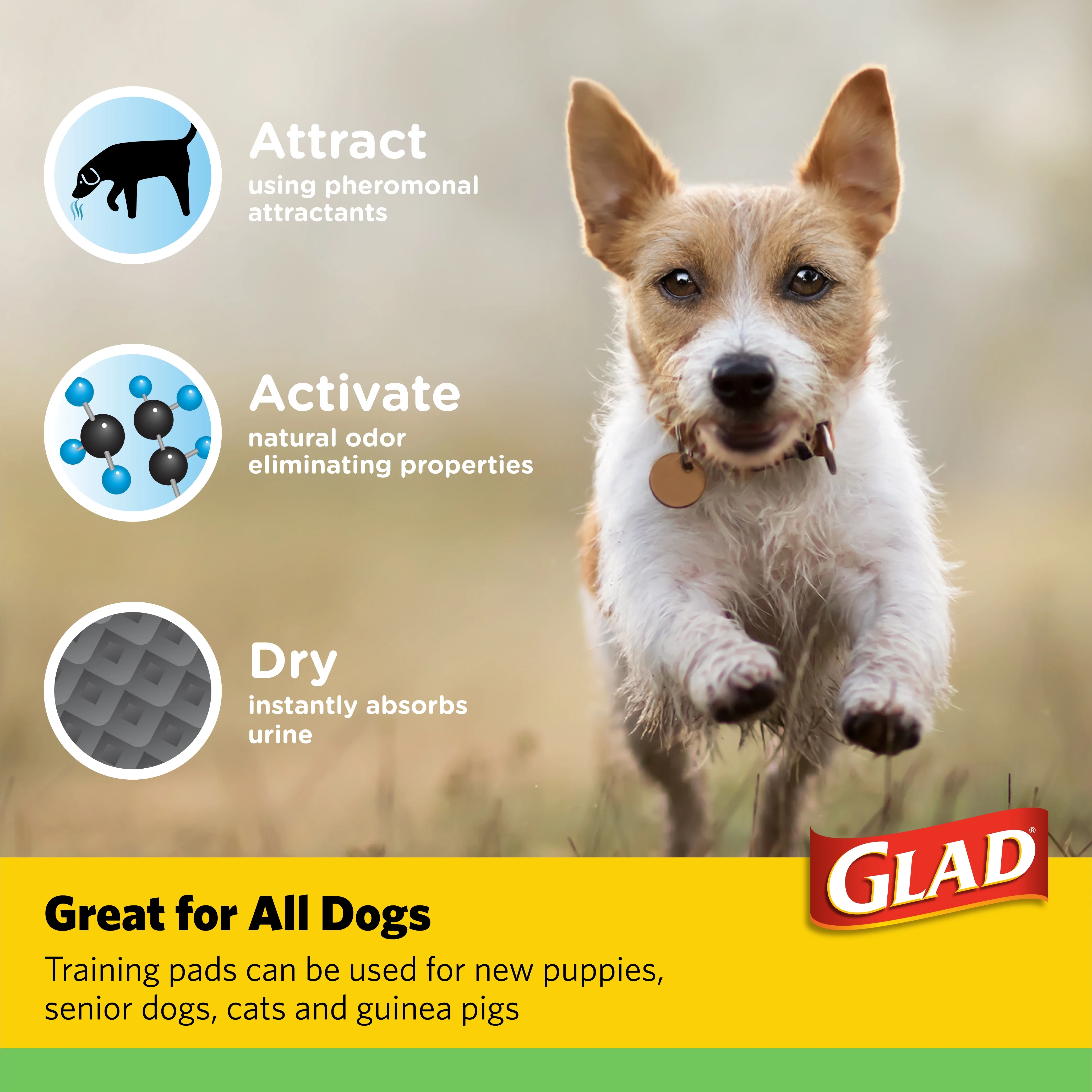 Glad for Pets Activated Carbon Training Pads Giant Size - 24 Pack