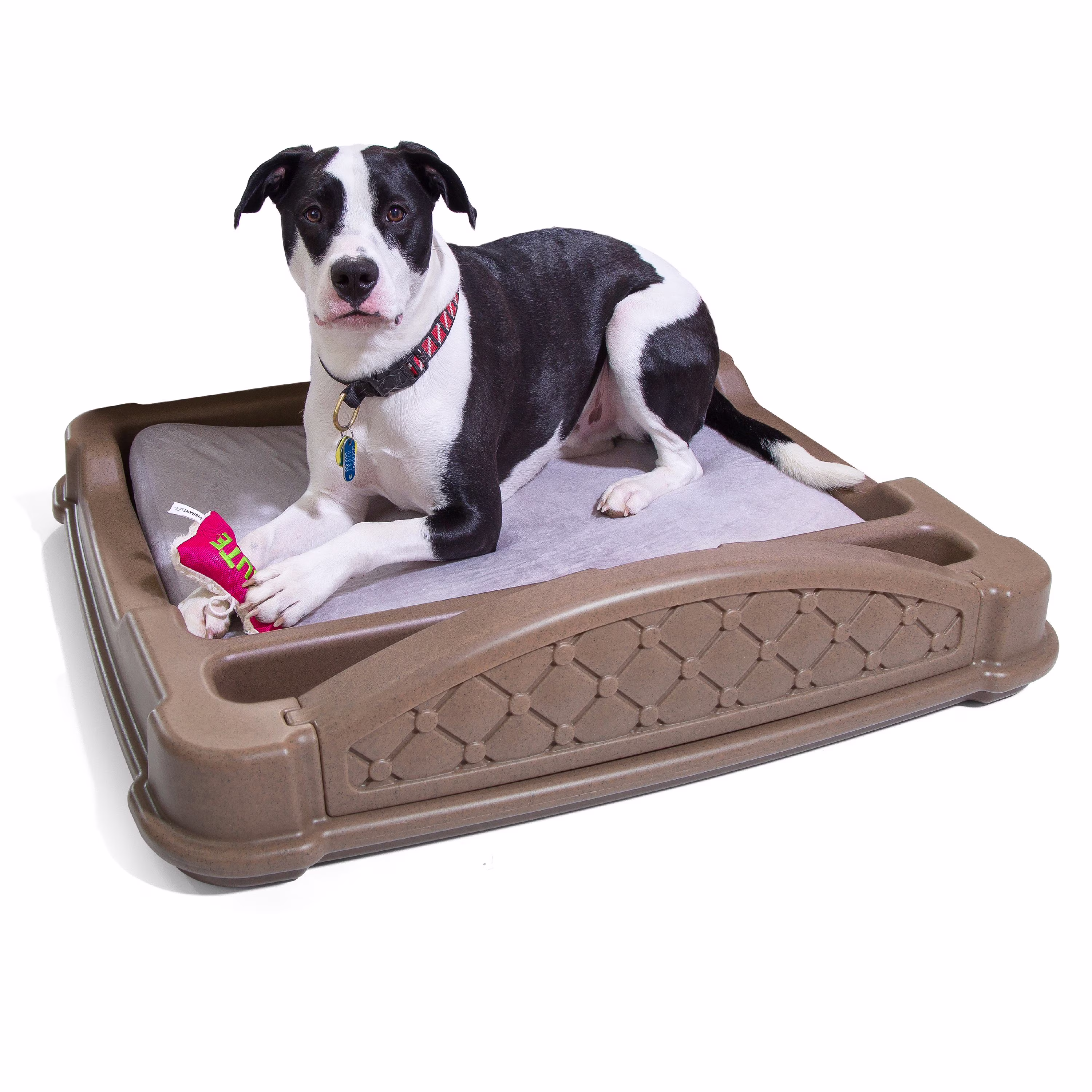 Step2 Close 'N' Cozy Hideaway Dog Bed Brown