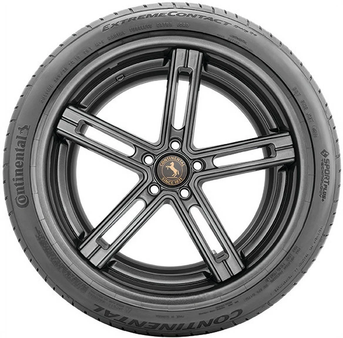Continental Tire ExtremeContact DWS06 205/50ZR17 93W Tire