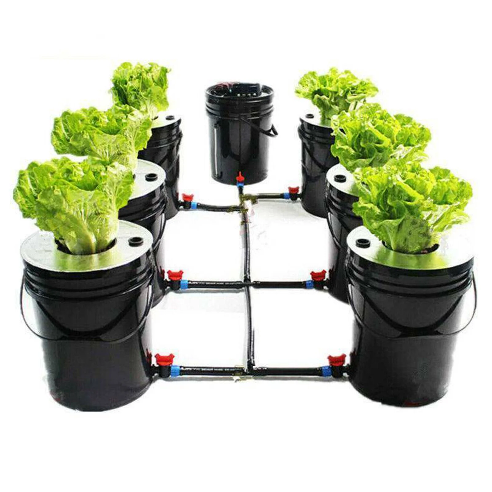 Aiqidi DWC Hydroponics Growing System, 5 Gallon 6 Buckets Recirculating Growing Kit Deep Water Culture with Water Exchange Bucket