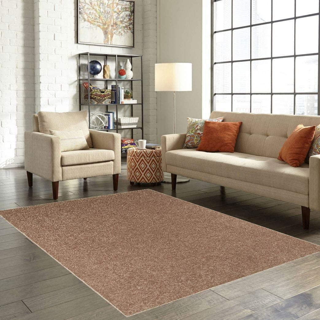 Home Queen Solid Color Indoor Area Rugs Brown - 3' x 5'