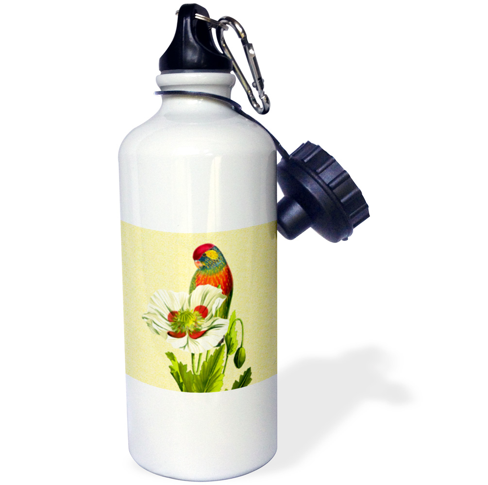 3dRose Vintage Rainbow Lorikeet Parrot and White and Red Poppy, Sports Water Bottle, 21oz