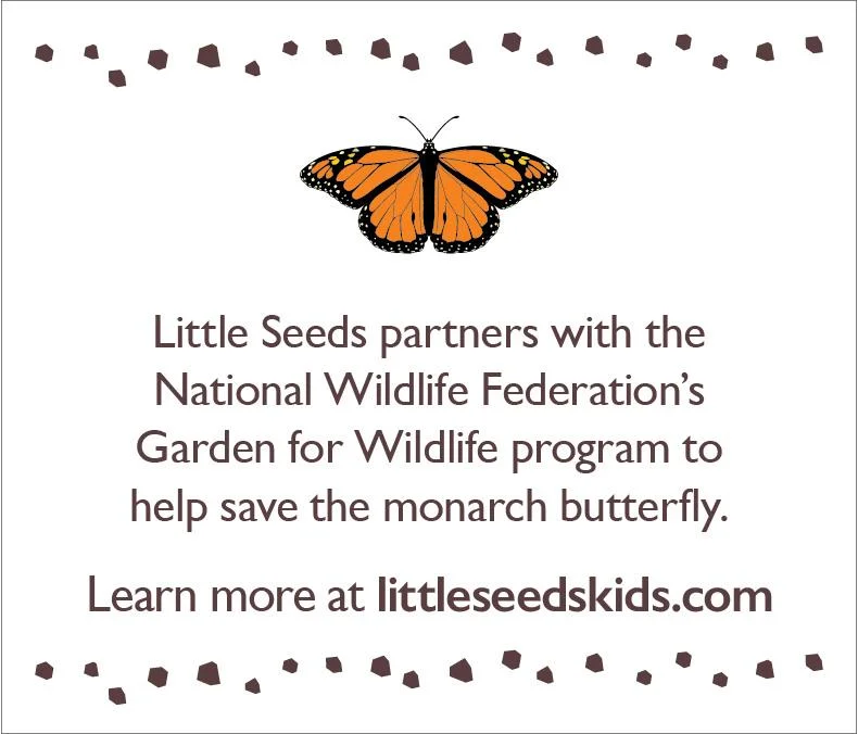 Little Seeds Monarch Hill Ivy Metal Toddler Bed, Graphite Gray