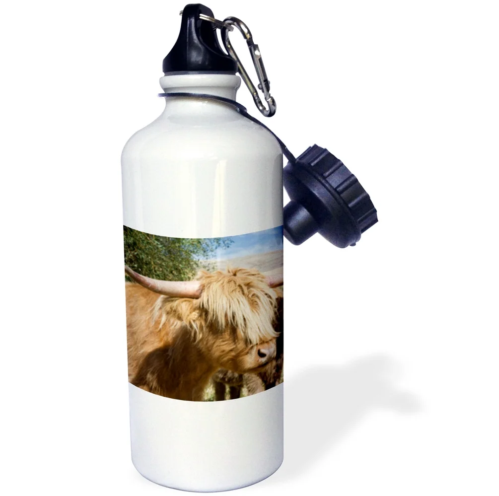 3dRose Washington, Palouse. Scottish highland cattle - US48 BJA0216 - Jaynes Gallery, Sports Water Bottle, 21oz