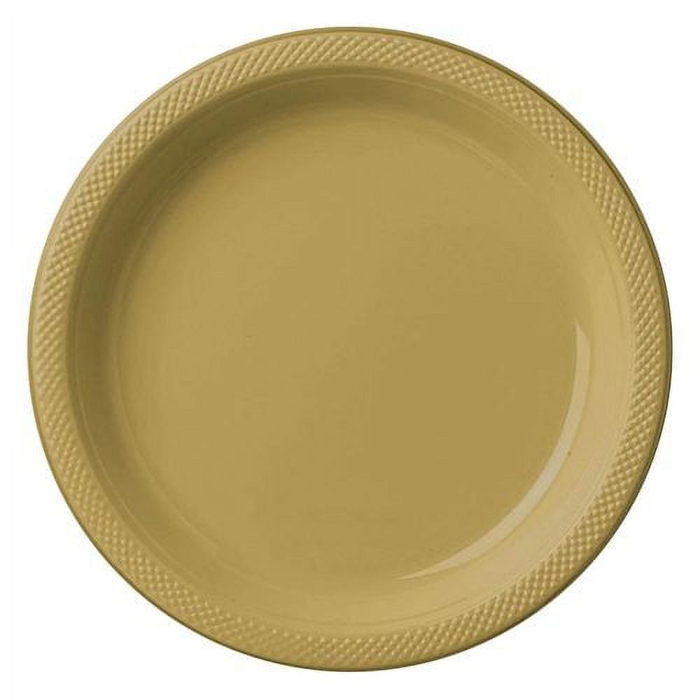 PLASTIC PLATES 10-1/4