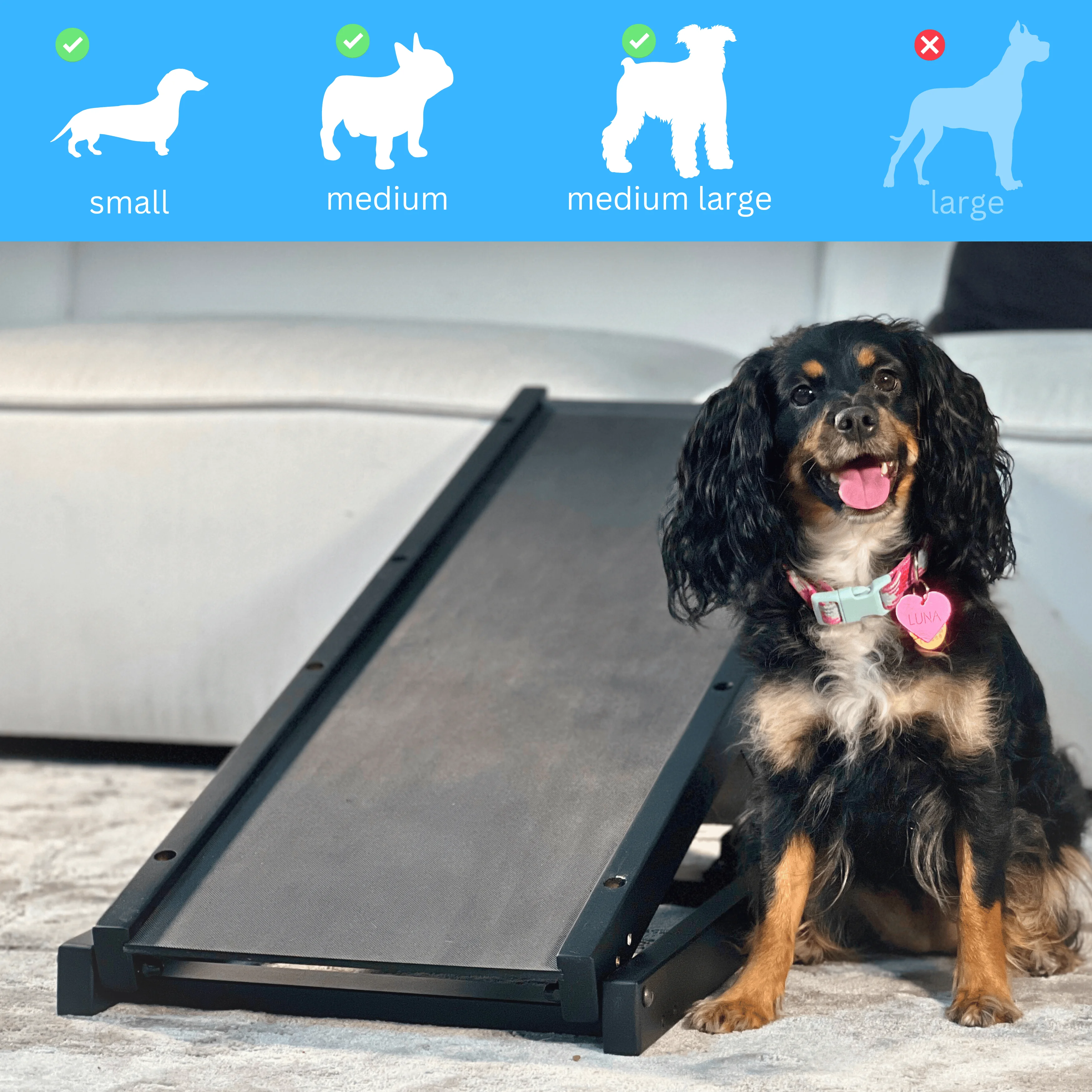 Dog Ramp for Couch - Adjustable 10