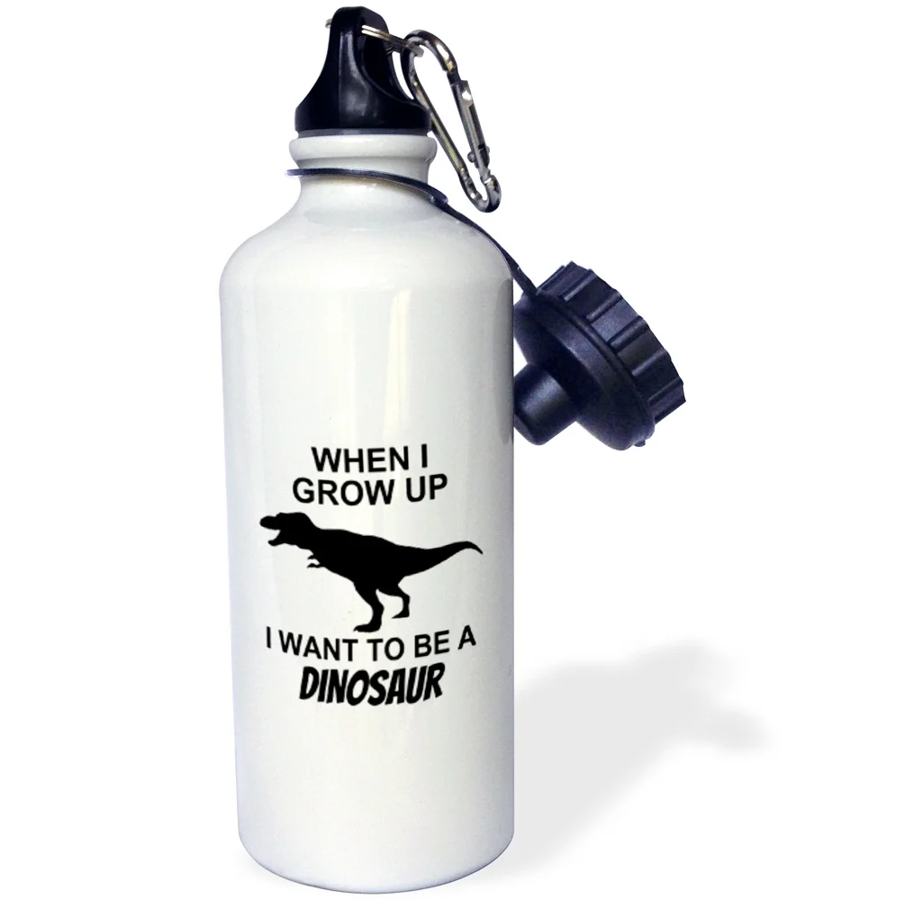 3dRose When I Grow Up I Want to Be a Dinosaur - Water Bottle, 21-ounce