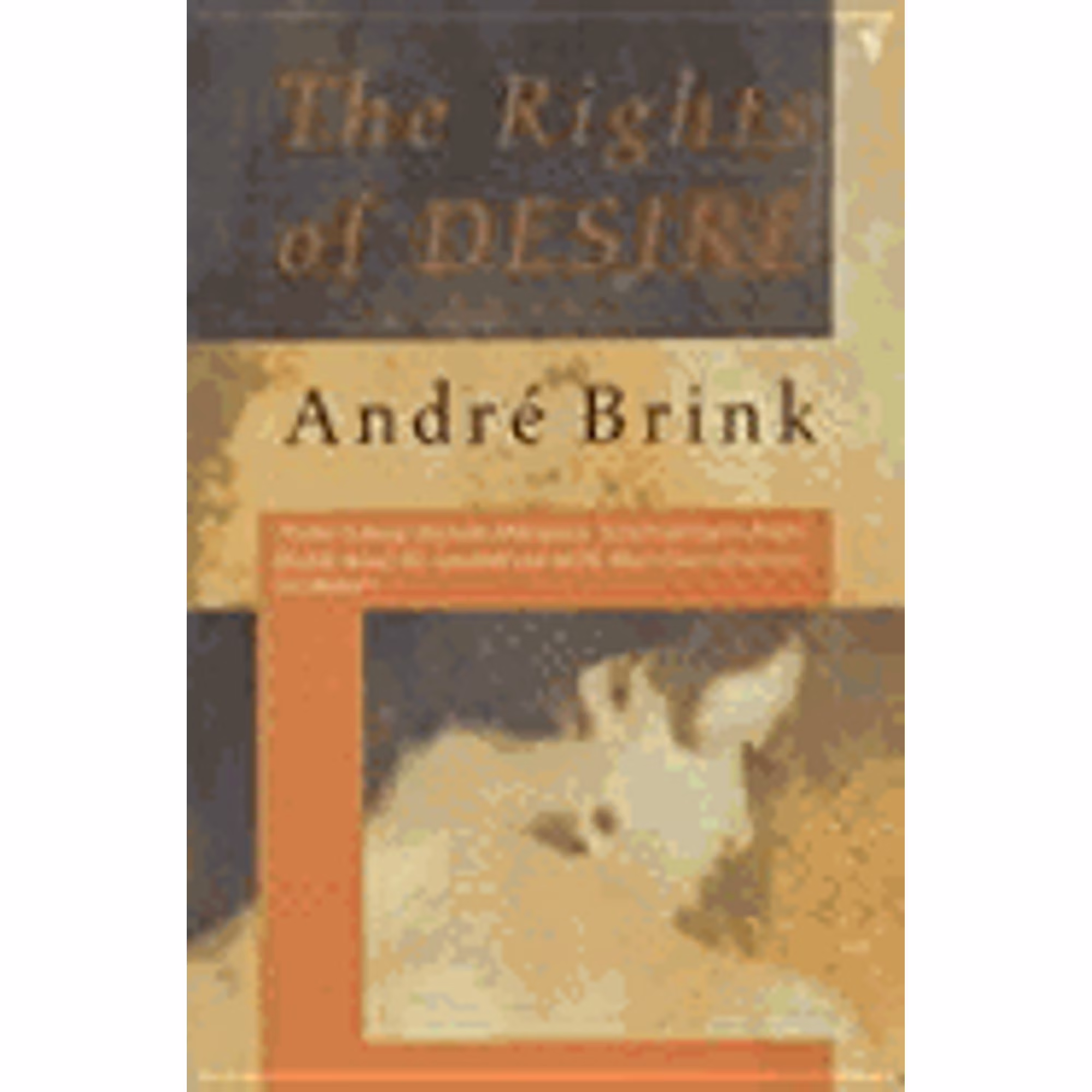 Pre-Owned The Rights of Desire (Hardcover 9780436274626) by Andre Brink