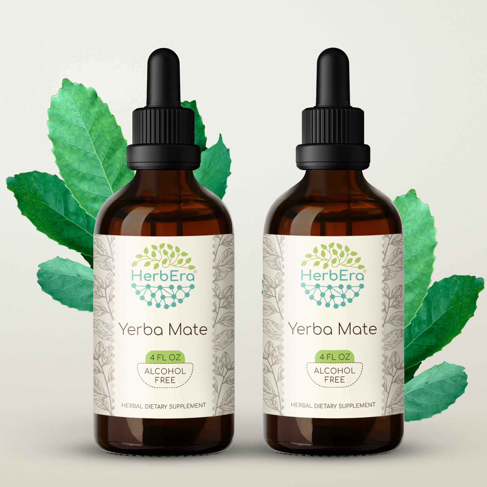 Yerba Mate Alcohol-FREE Herbal Extract Tincture, Super-Concentrated Organic Yerba Mate (Ilex paraguariensis) Dried Leaf 2x4 oz