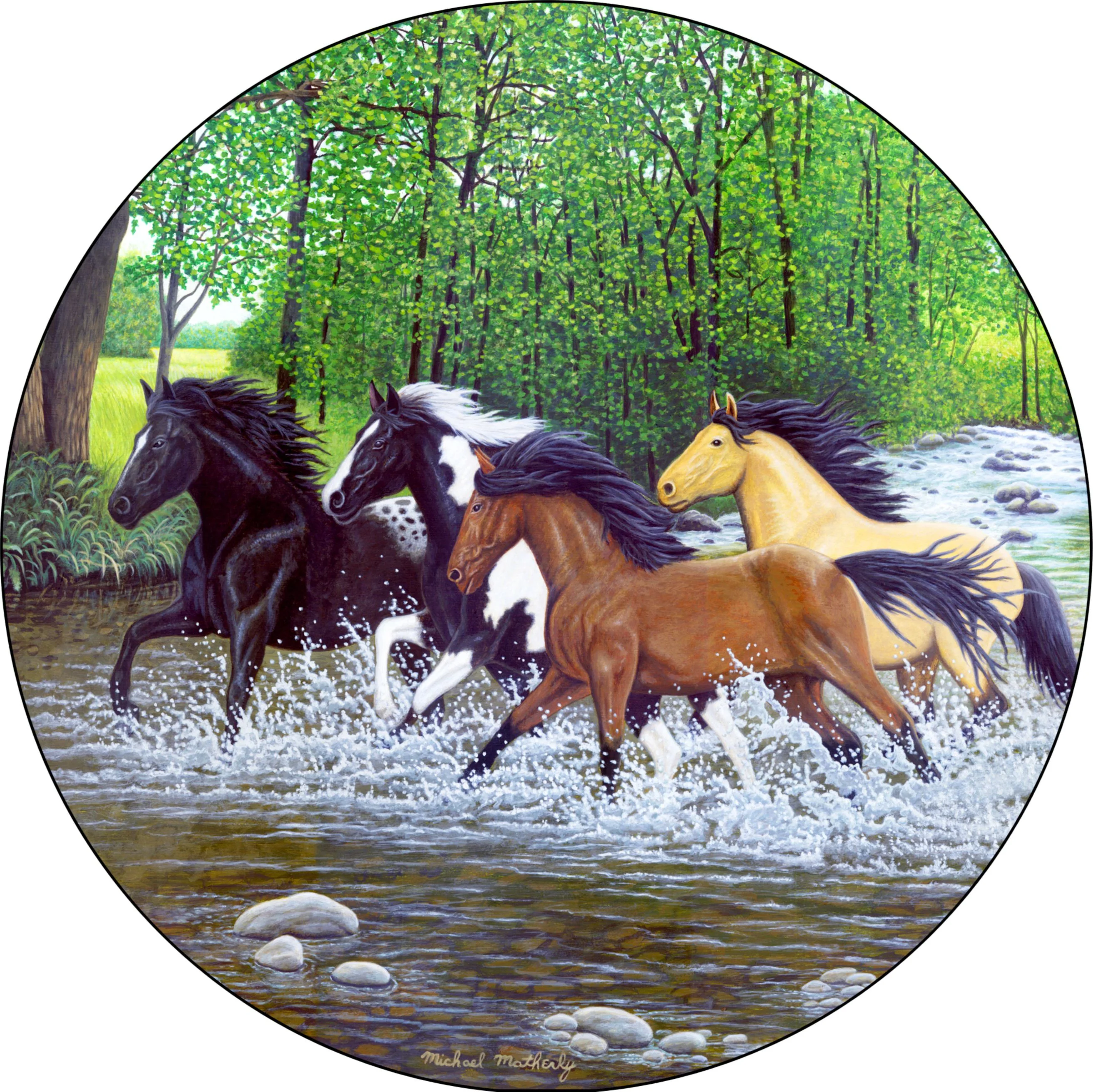 Tire Cover Central Horses Black Vinyl (Select Size/Camera in Menu) 235/75r15