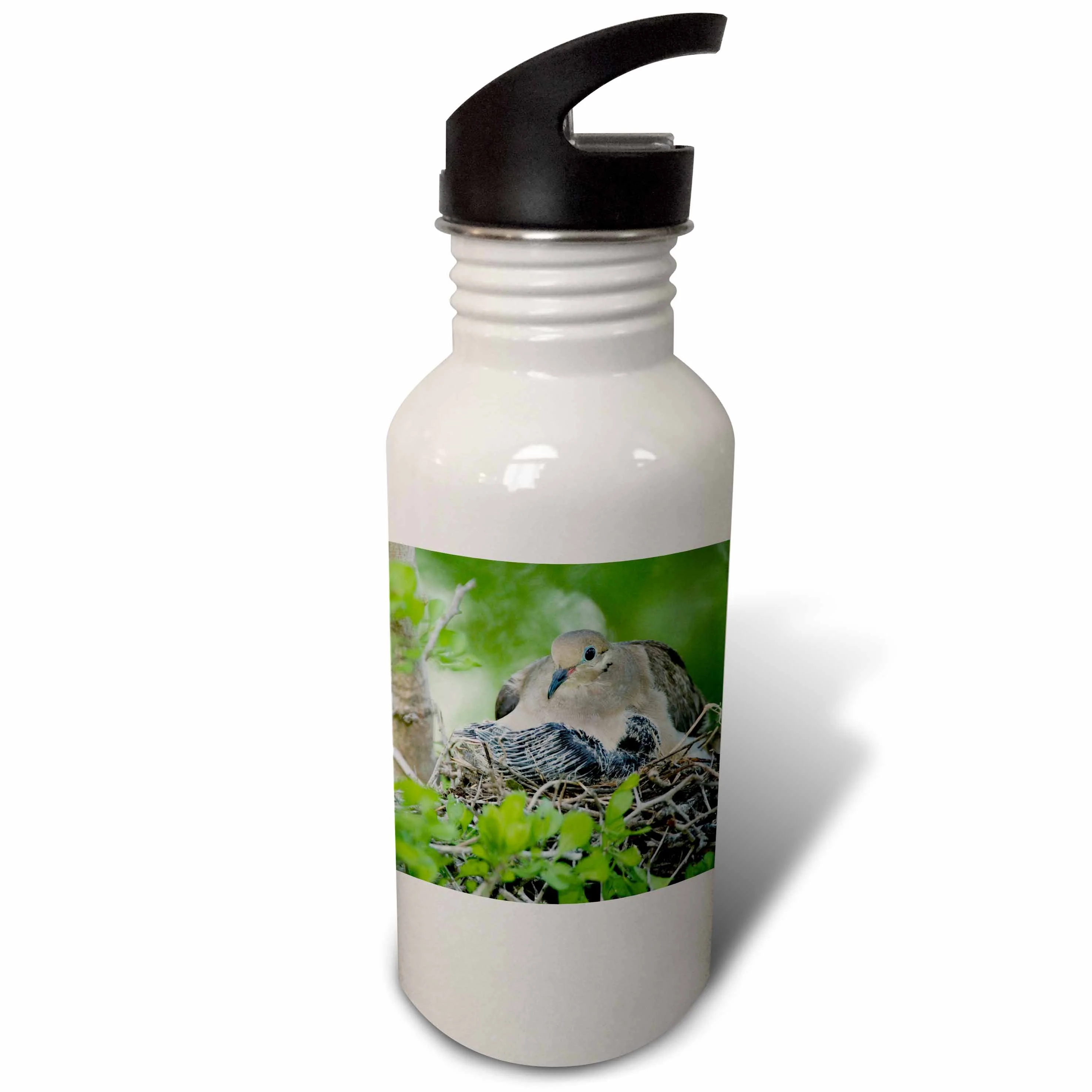 Mourning Dove, bird, Rio Grande Valley, Texas - NA02 RNU0193 - Rolf Nussbaumer 21 oz Sports Water Bottle wb-84307-1