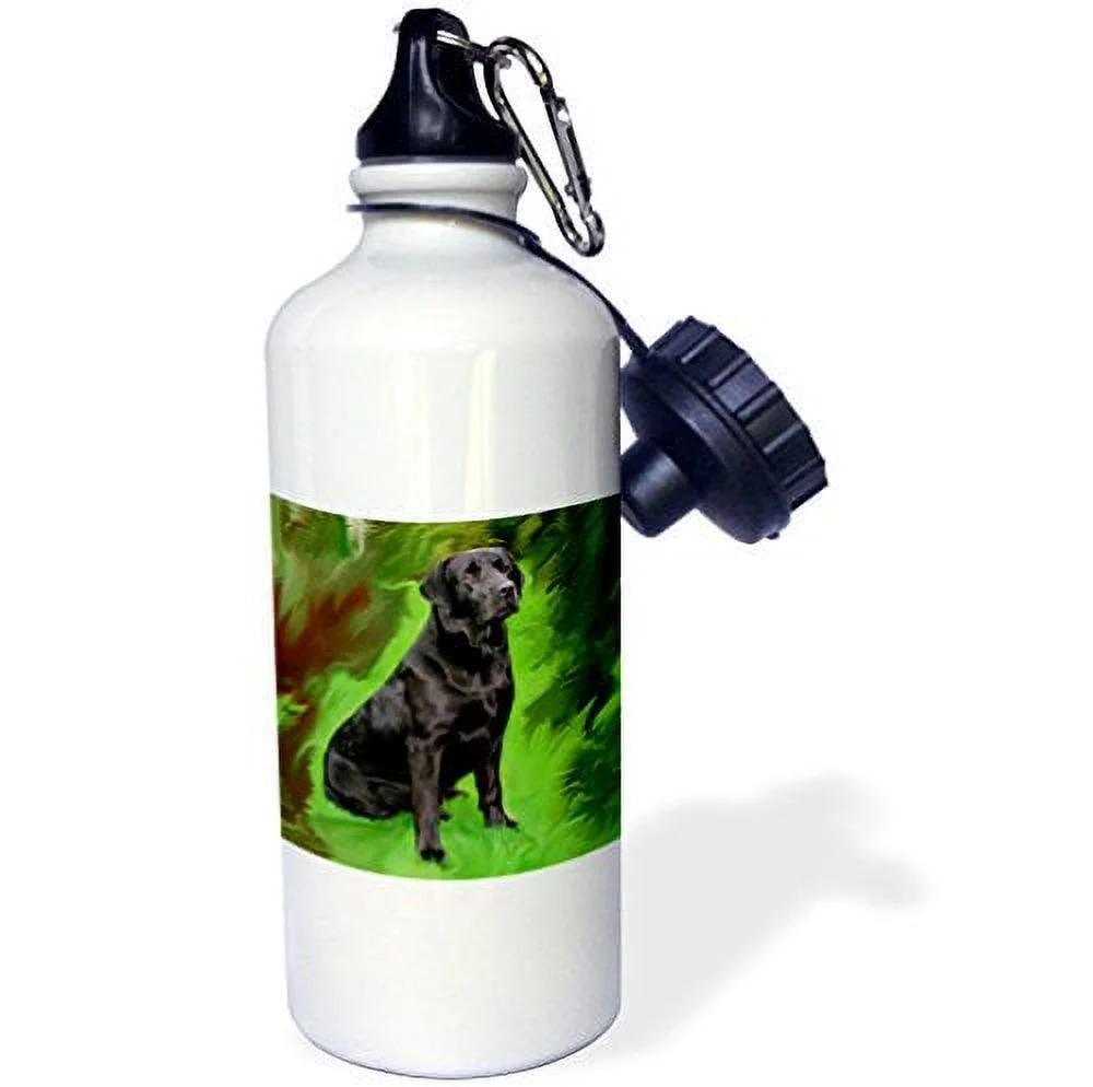 3dRose Black Labrador Retriever, Sports Water Bottle, 21oz