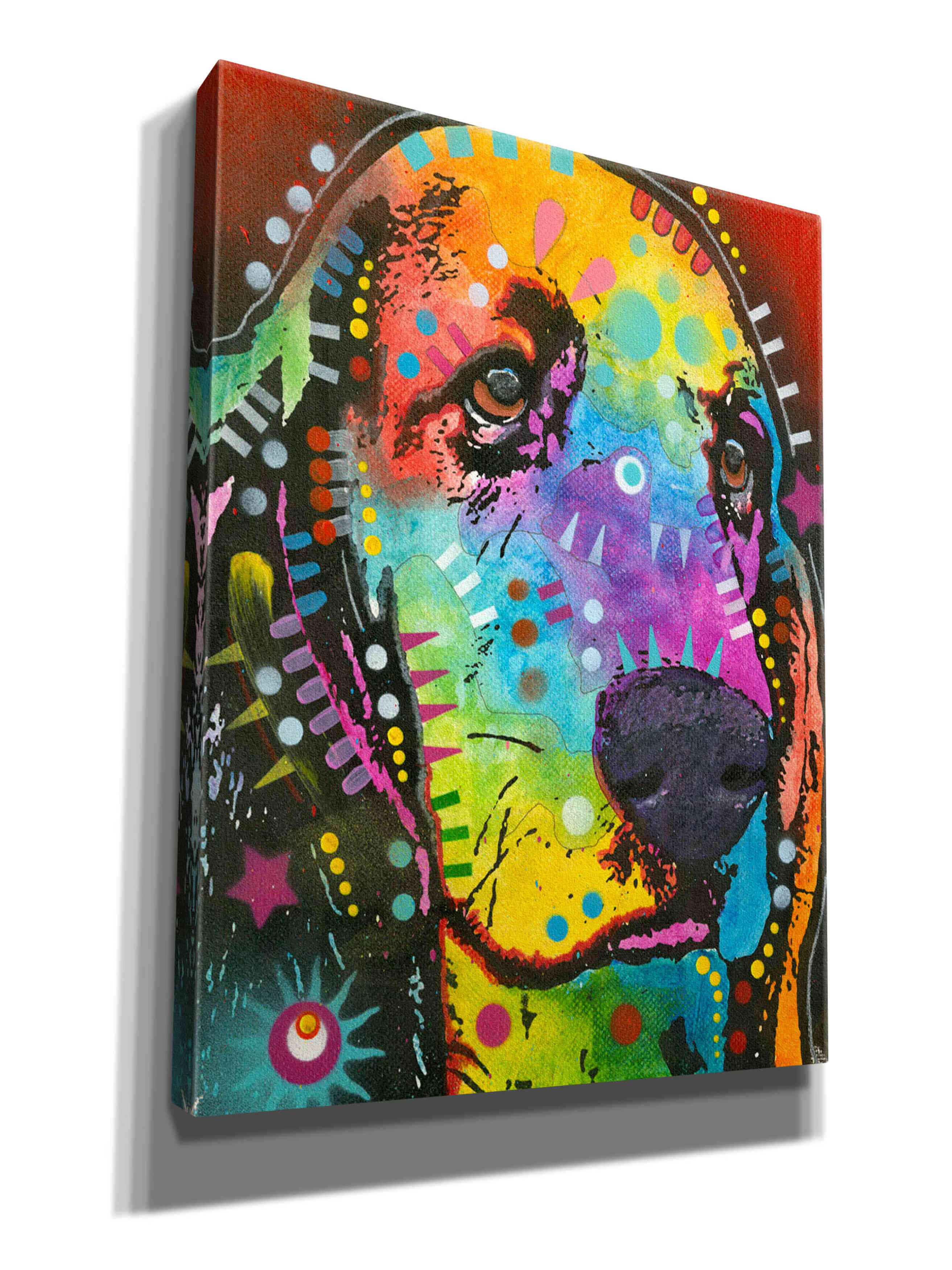 Epic Graffiti 'Waffles' by Dean Russo, Canvas Wall Art, 12