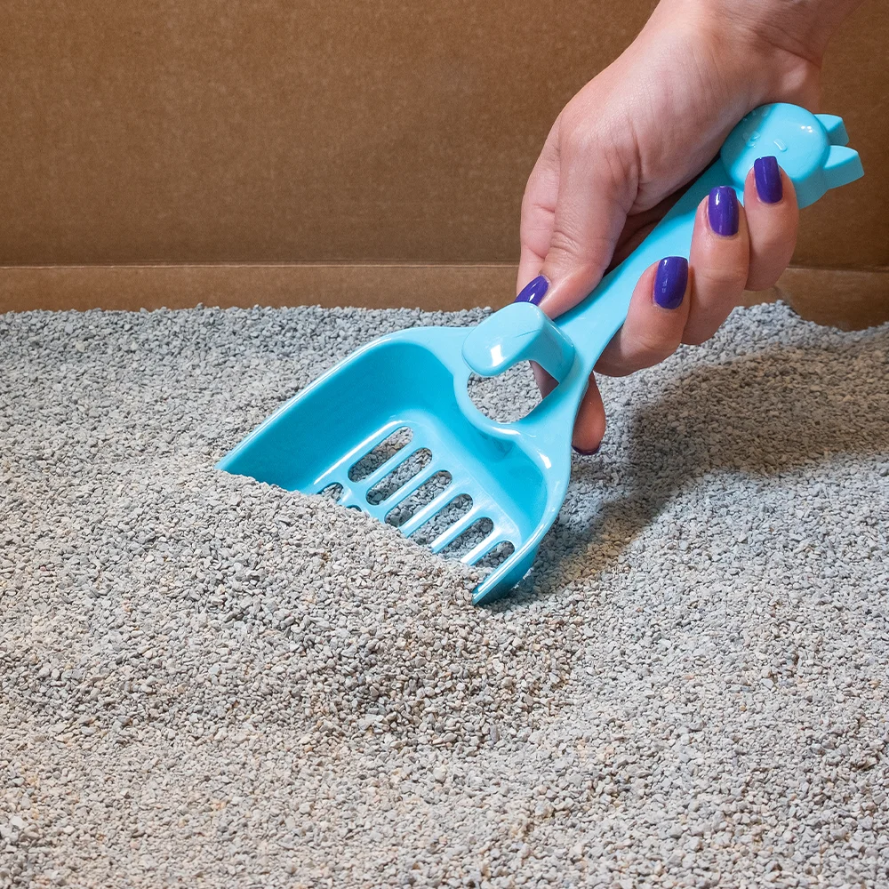 Kitty Poo Club's Eco-Friendly Open Top Cat Litter Box: Large Recyclable Solution with Premium Clay Litter