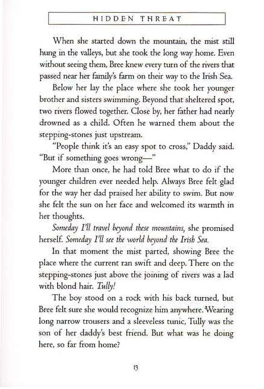 Viking Quest Complete Set : Raiders From the Sea; Mystery of the Silver Coins; The Invisible Friend; Heart of Courage; The Raider's Promise