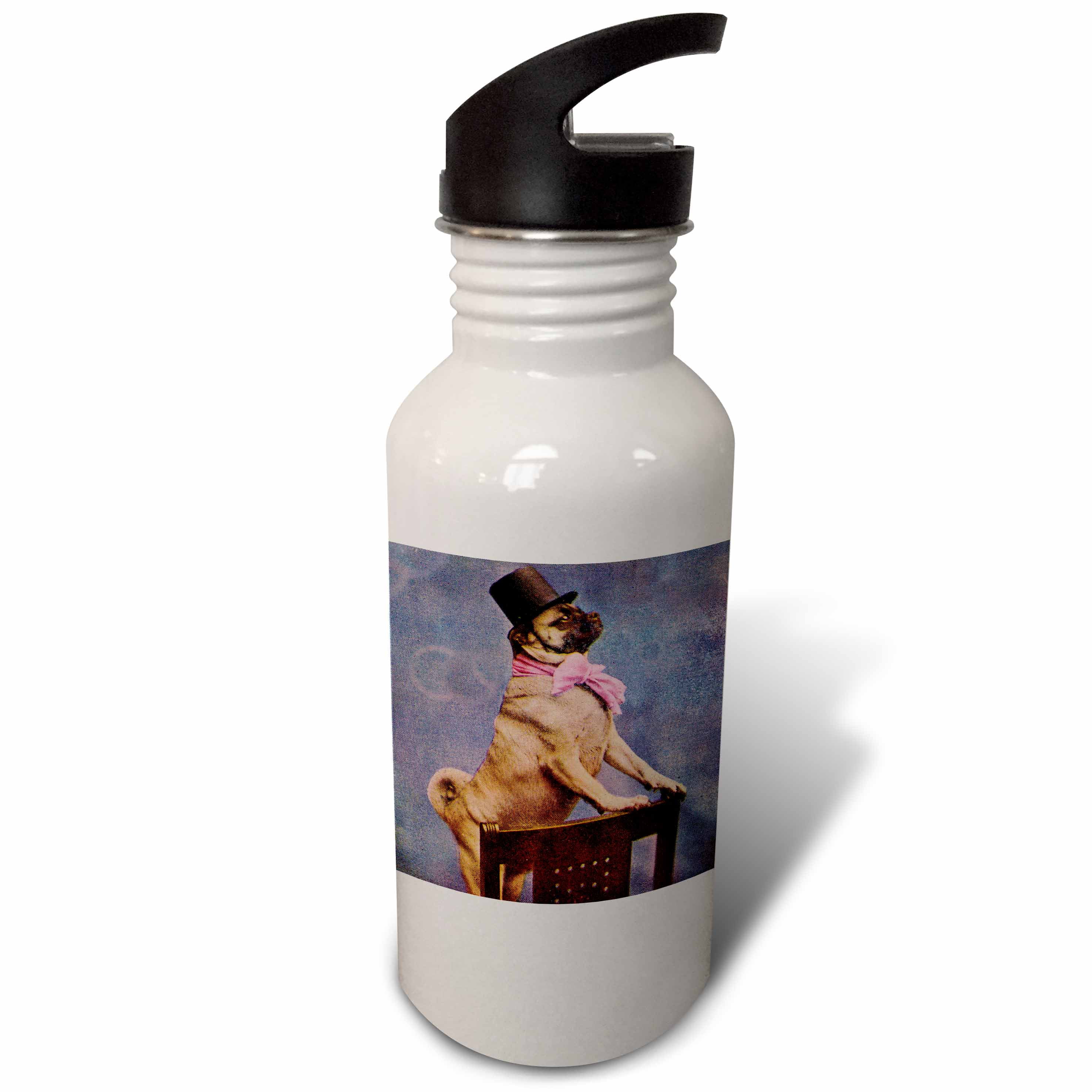 3dRose Pug in Top Hat, Sports Water Bottle, 21oz