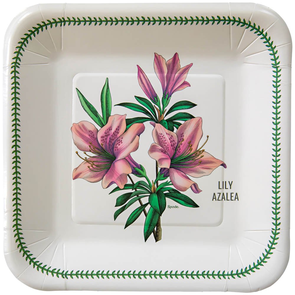 C.R. Gibson Paper Lunch/Dessert Plates (Set of 8) | Spode Garden Florals