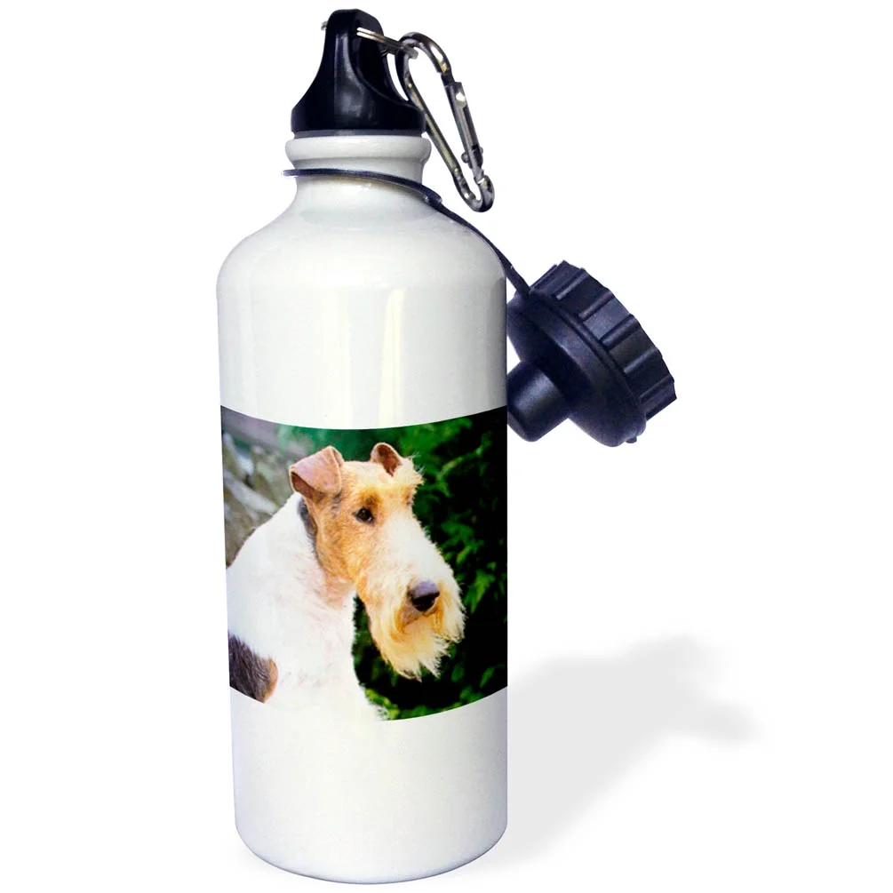 3dRose Fox Terrier, Sports Water Bottle, 21oz