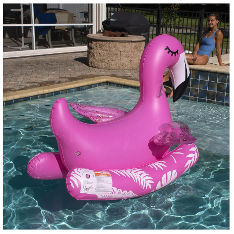 Novelty Ride-On Pool Float
