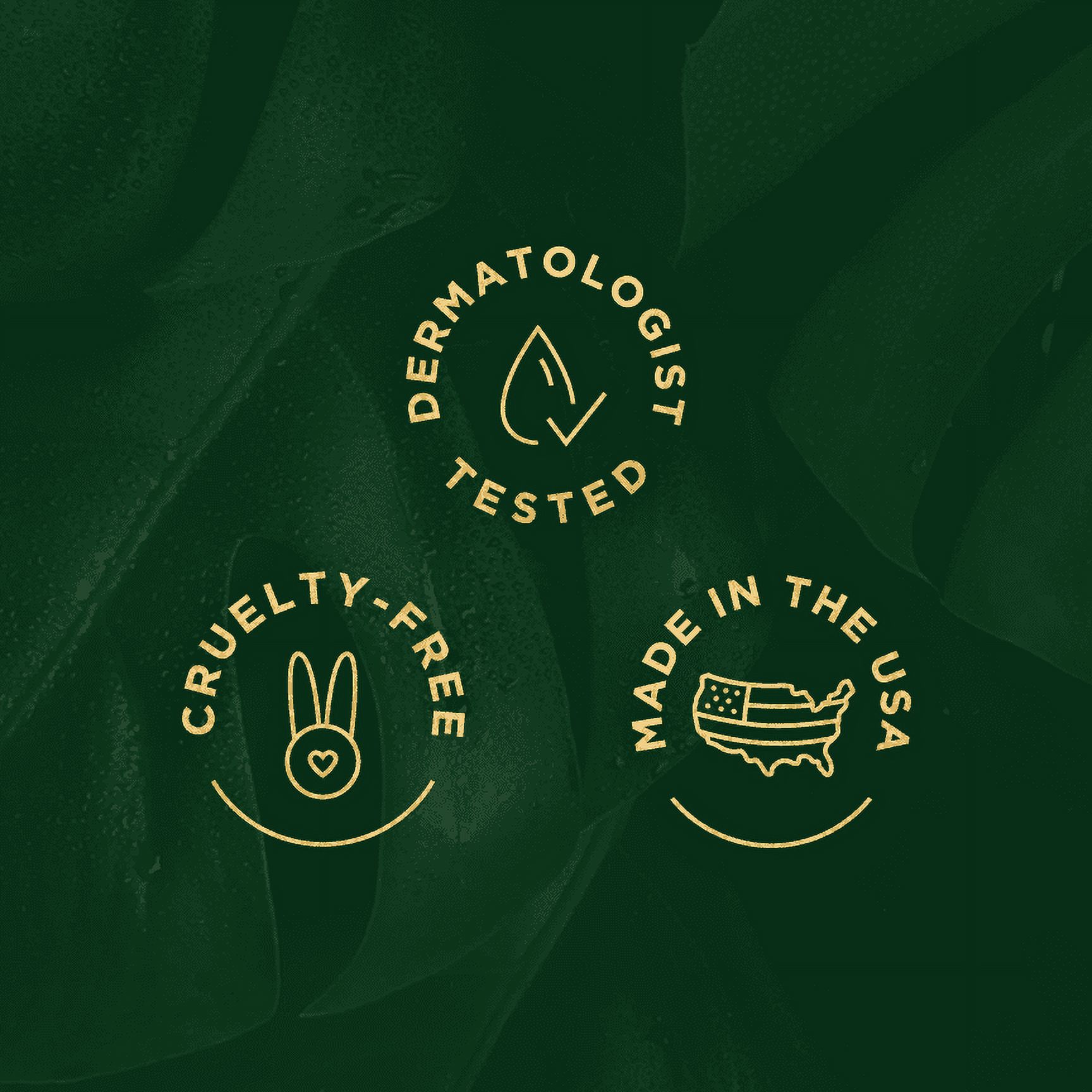 Tree of Life Retinol Facial Moisturizer | Renewing Face Cream with Botanical Hyaluronic Acid, 2 fl oz