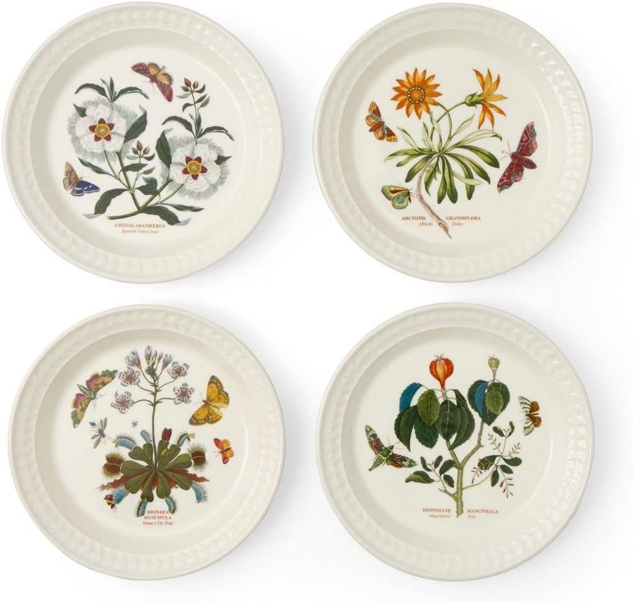 DIQIN Botanic Garden Harmony Papilio Salad Plates Set of 4, Round, Salad, Dessert, or Dinner Plate, Ceramic, Dishwasher & Microwave Safe, 8.5 Inch, Assorted Motif, Made in England
