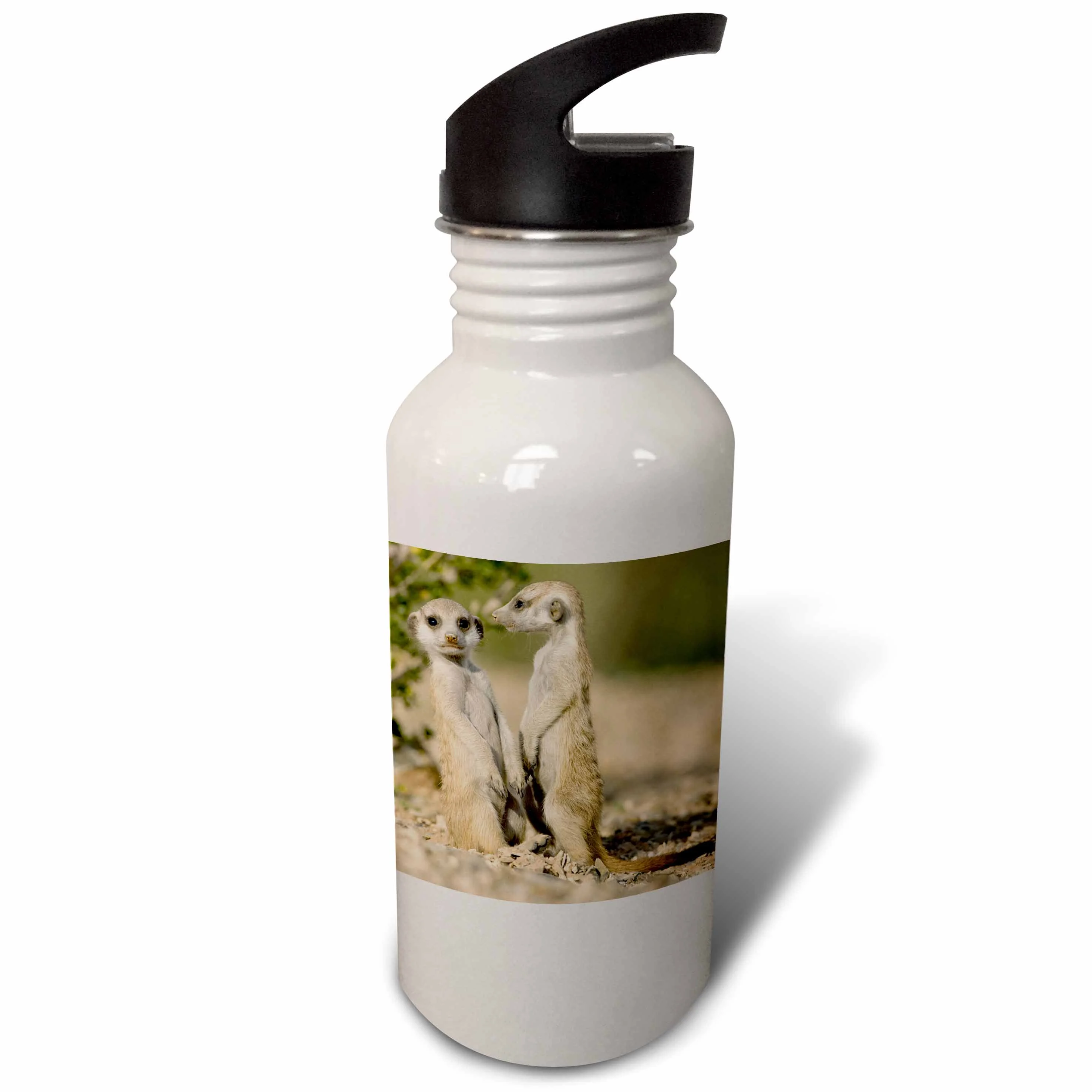 Namibia, Keetmanshoop, Meerkat, Namib Desert, mongoose-AF31 PSO0159 - Paul Souders 21 oz Sports Water Bottle wb-73467-1