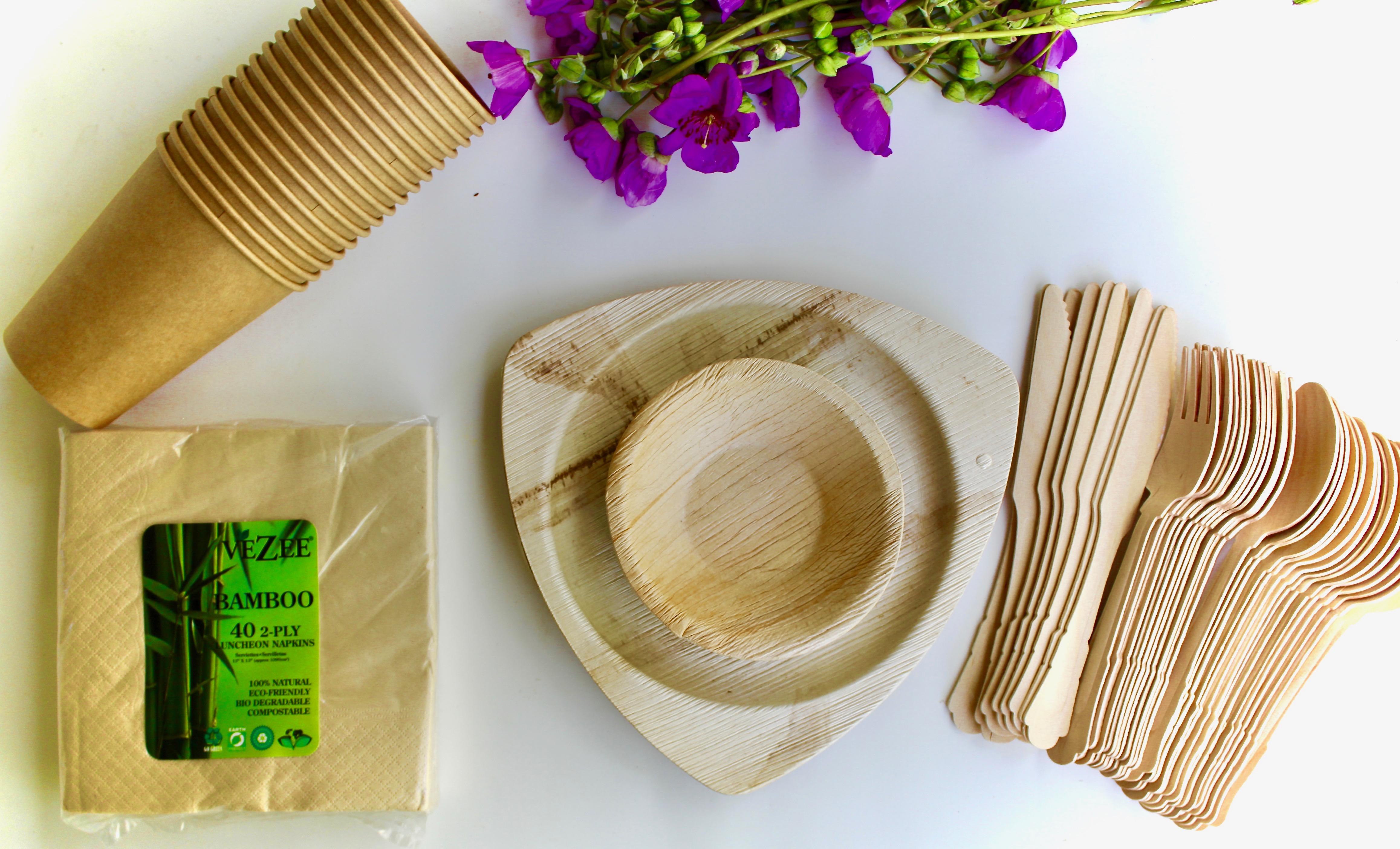 Party Palm Leaf Plates 10 Pic Round 10