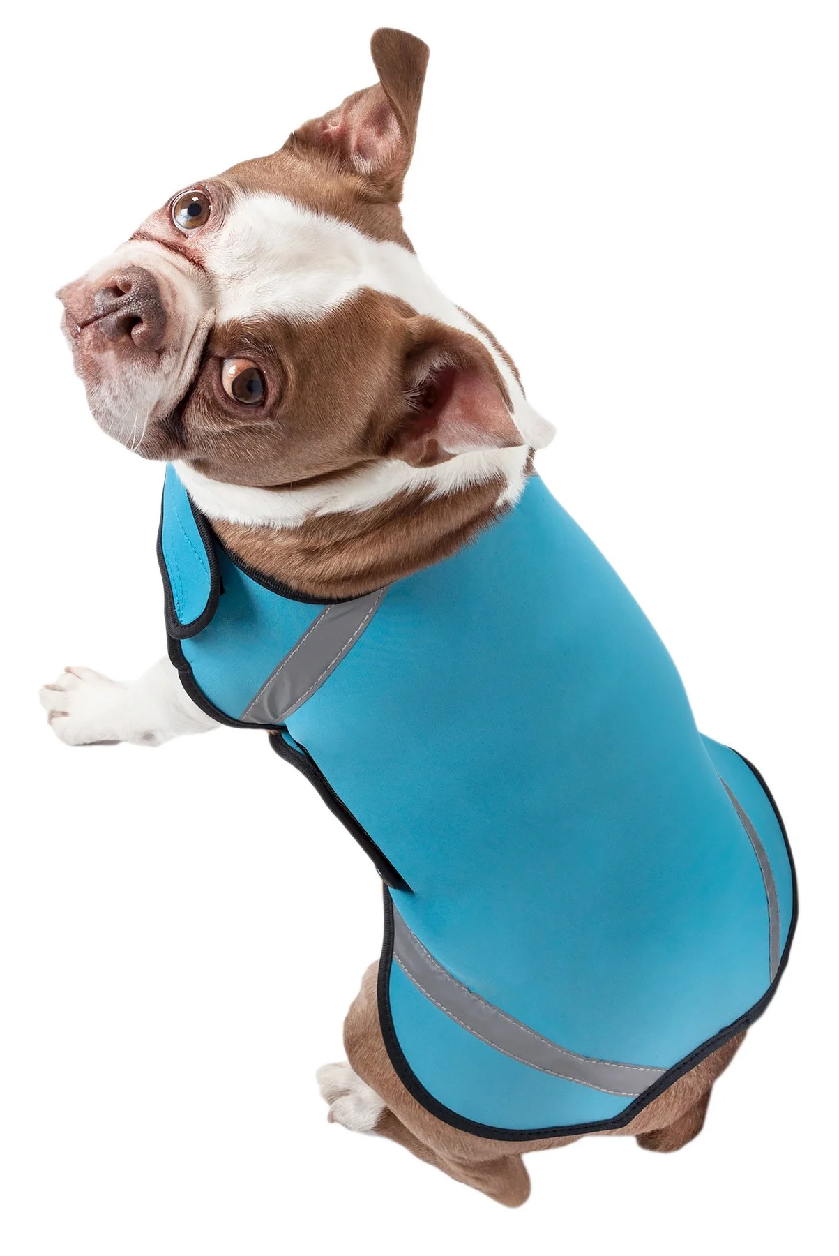 Pet Life ® 'Extreme Neoprene' Multi-Purpose Protective and Reflective Rash Guard Dog Coat