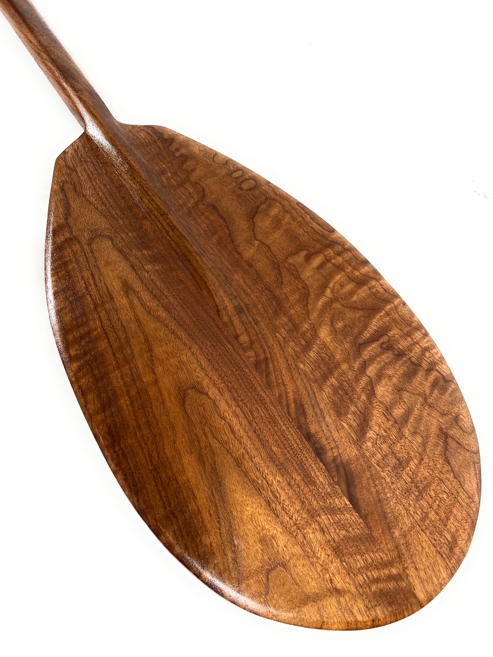 Premium Black Walnut Tiger Curls Outrigger Paddle 50