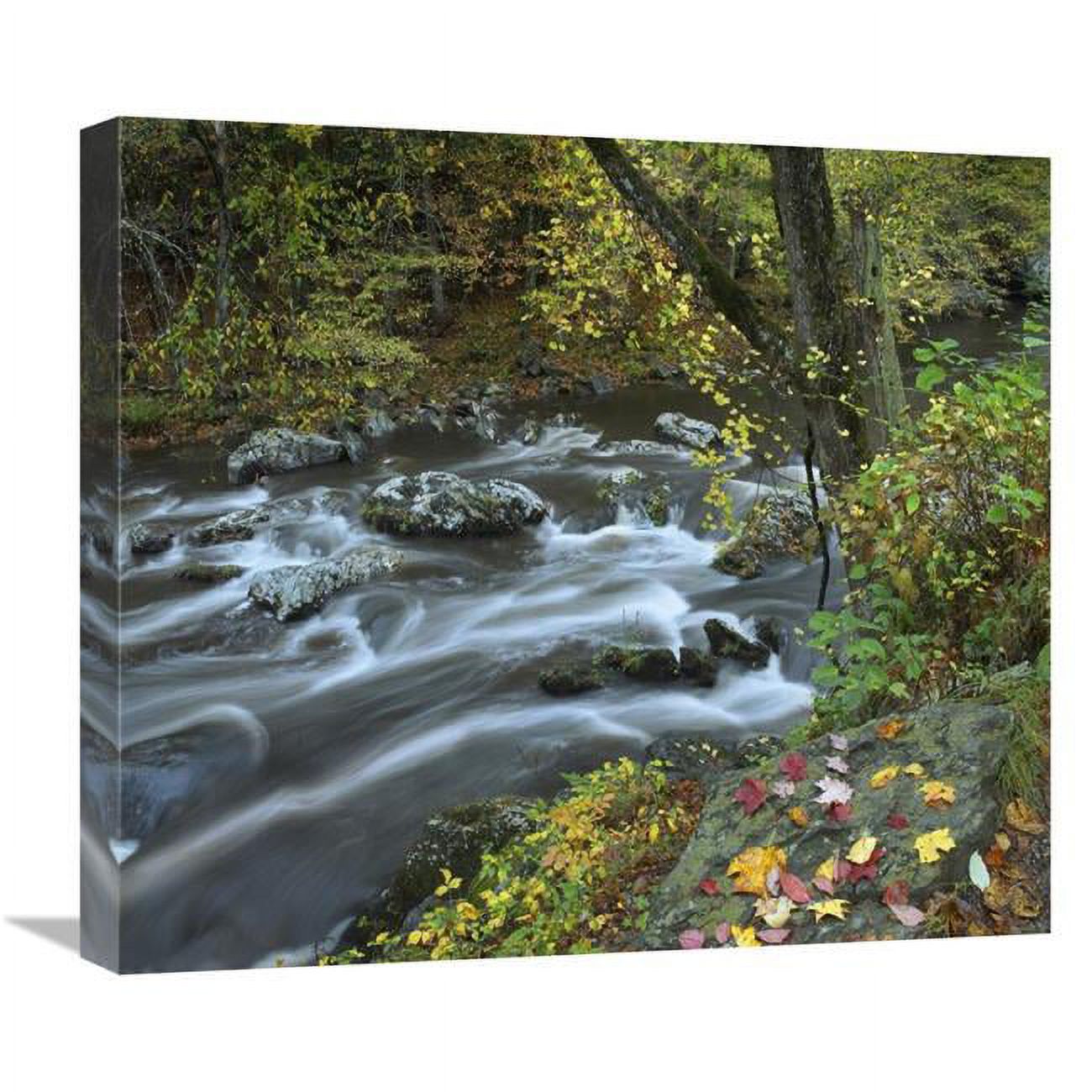 22 in. Little River, Great Smoky Mountains National Park, Tennessee Art Print - Tim Fitzharris