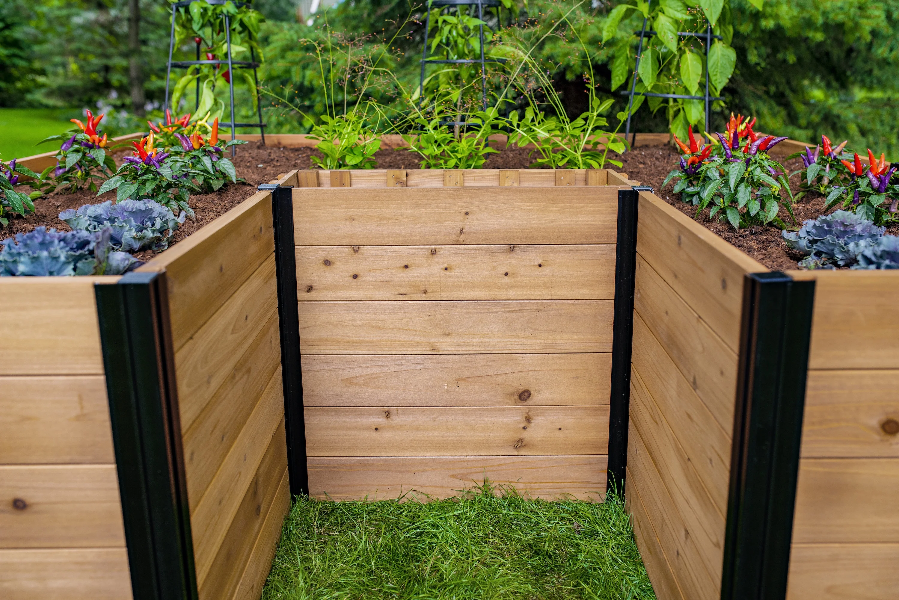 Vita Mezza 6'L x 6'W x 22