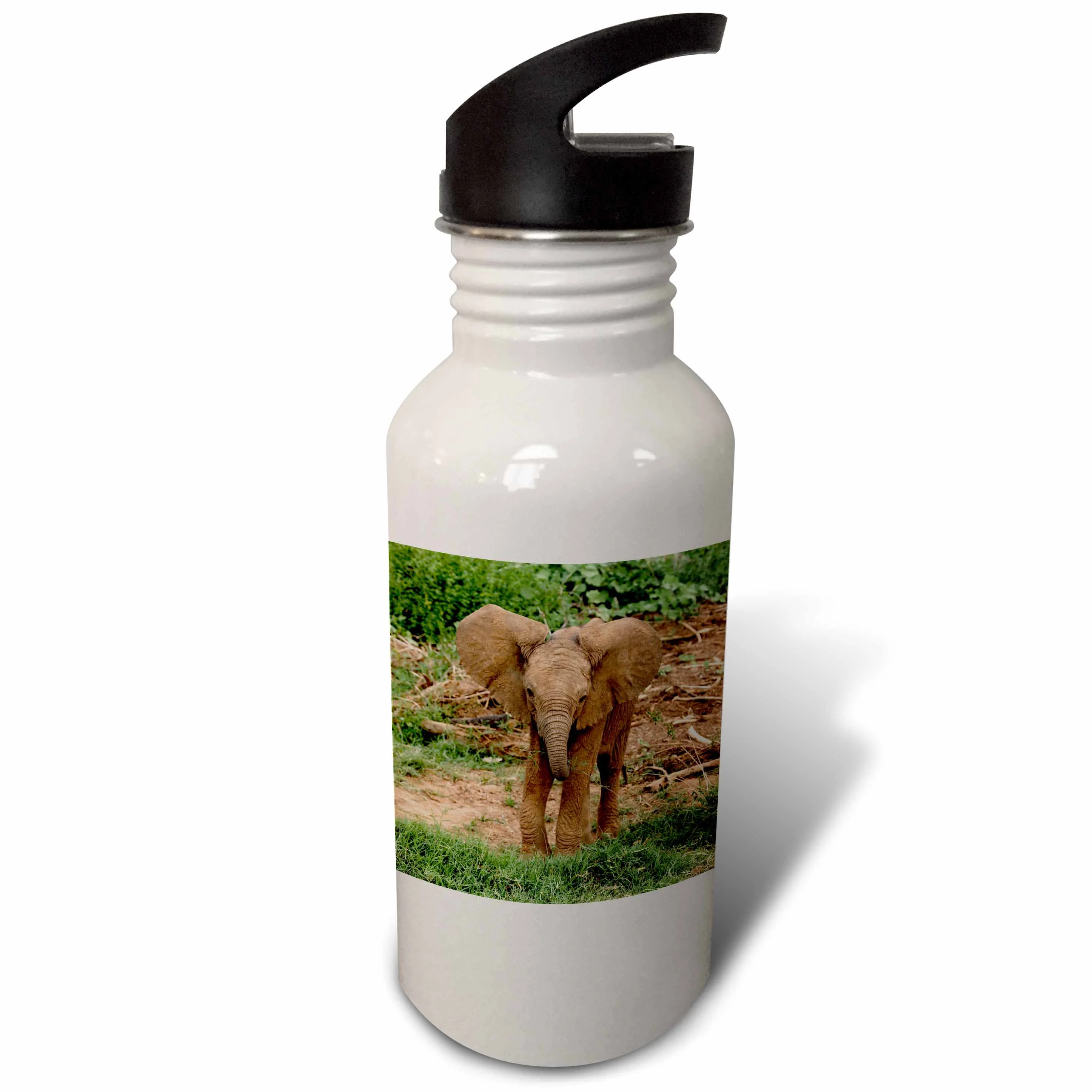 Baby Africa elephant, Samburu National Reserve, Kenya - AF21 AJE0856 - Adam Jones 21 oz Sports Water Bottle wb-131832-1