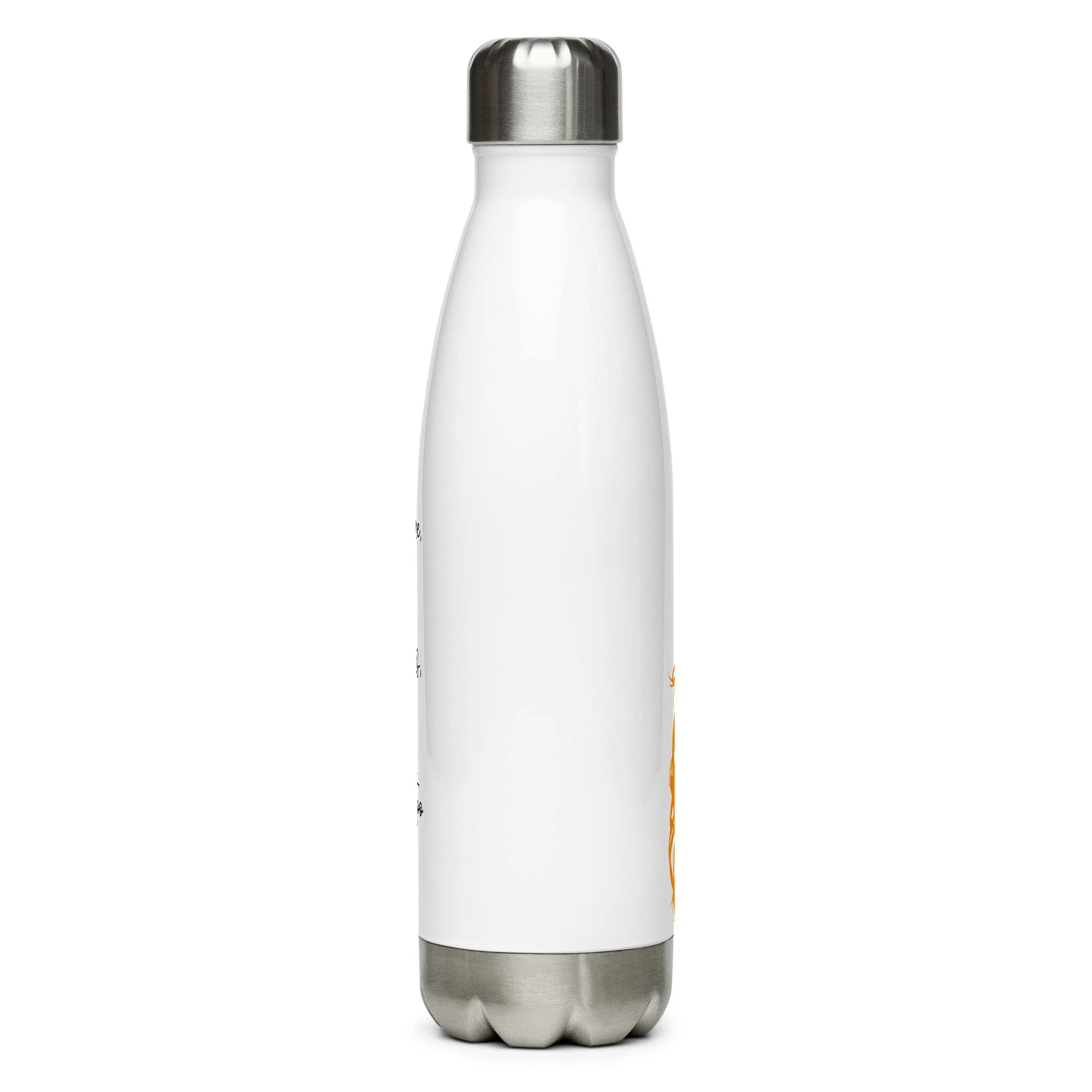 Sarvela Brothers Coffee Co. | Stephen King January Embers 17 oz. Stainless Steel Water Bottle