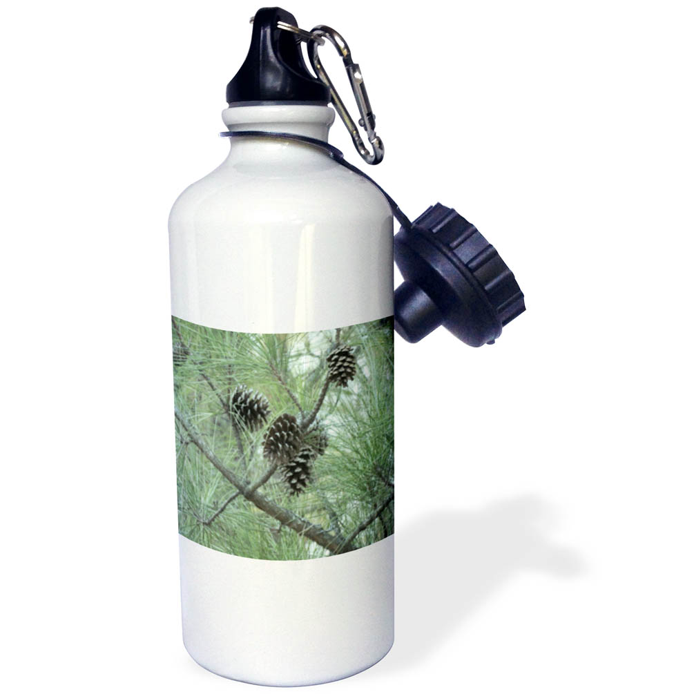 pine cones 21 oz Sports Water Bottle wb-23812-1