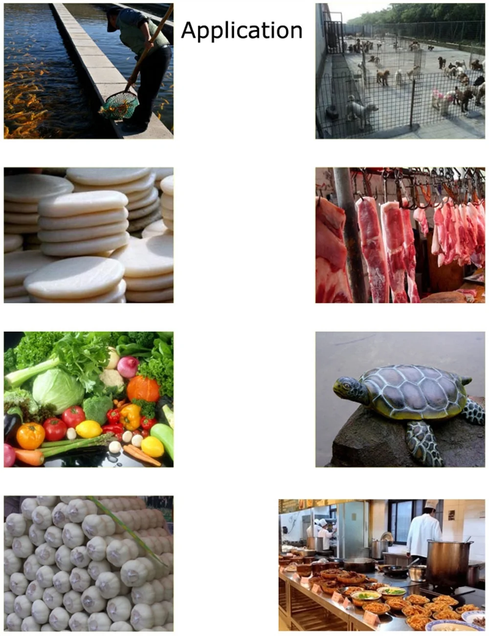 Techtongda Electric Bone Crusher Feed Processer Stainless Steel Meat Grinder 220V 3KW