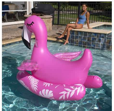 Novelty Ride-On Pool Float