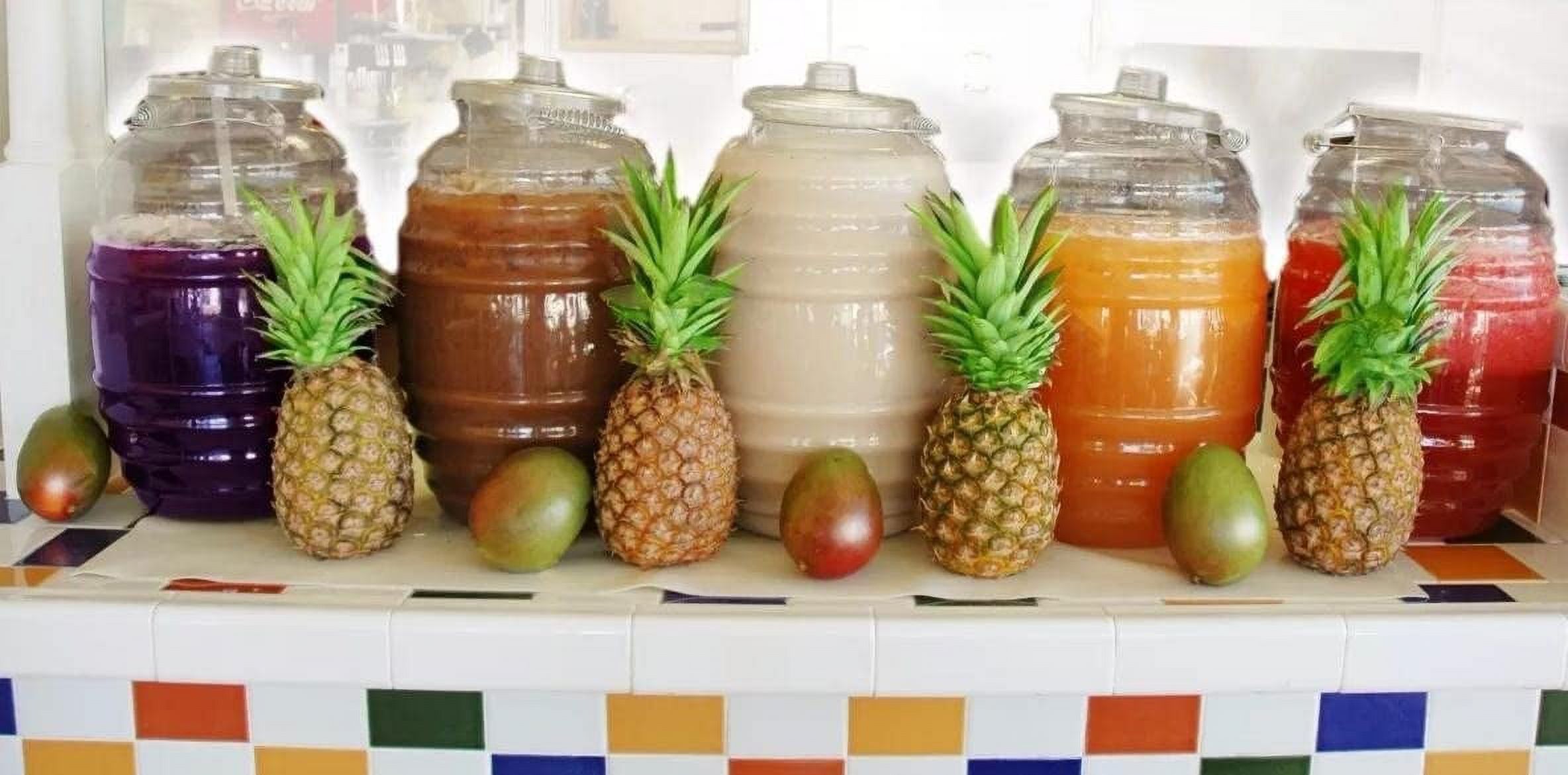 5 Gallon Jug with Lid-Water Juice Beverage Container-  20 L Clear-