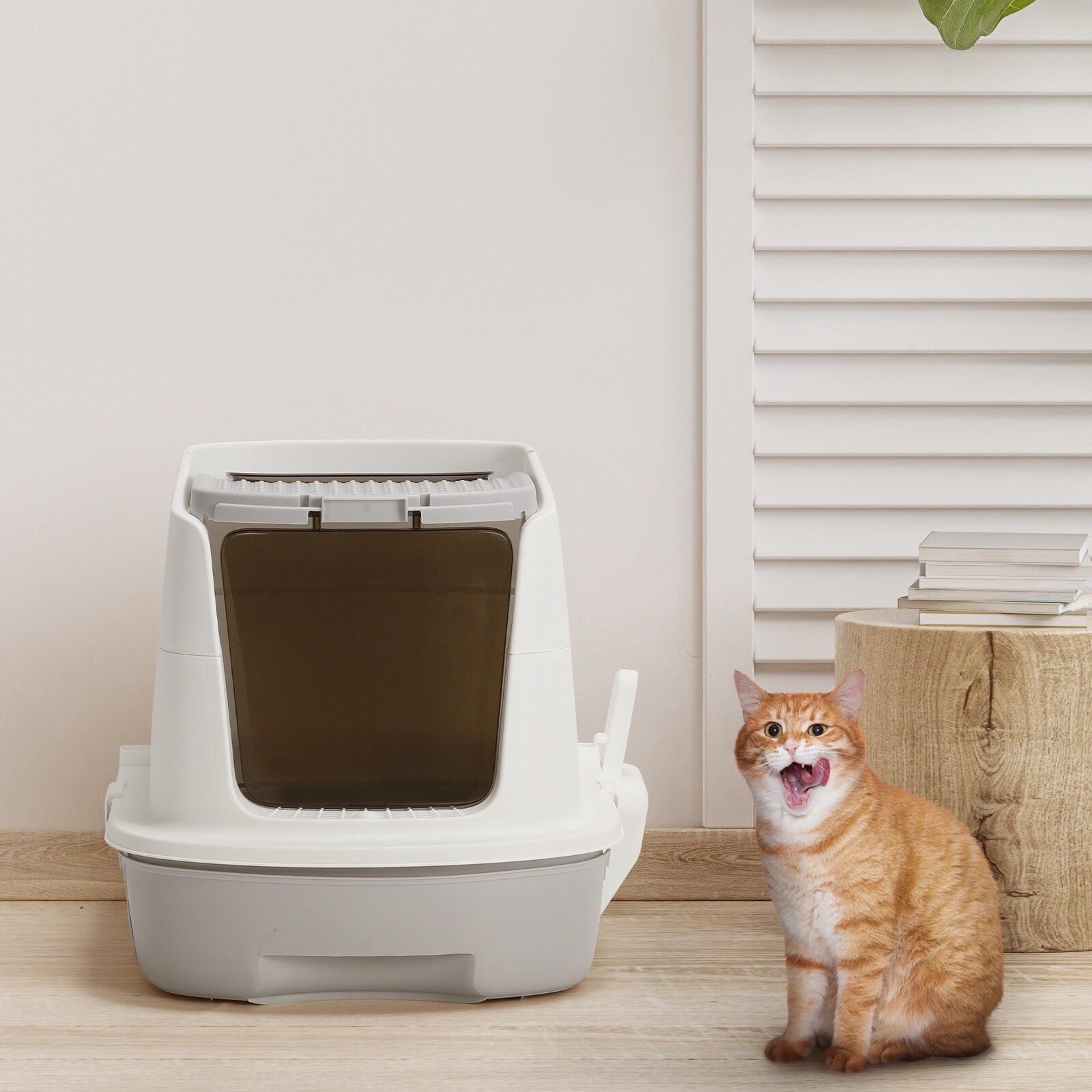 Cat Litter Box with Scoop A