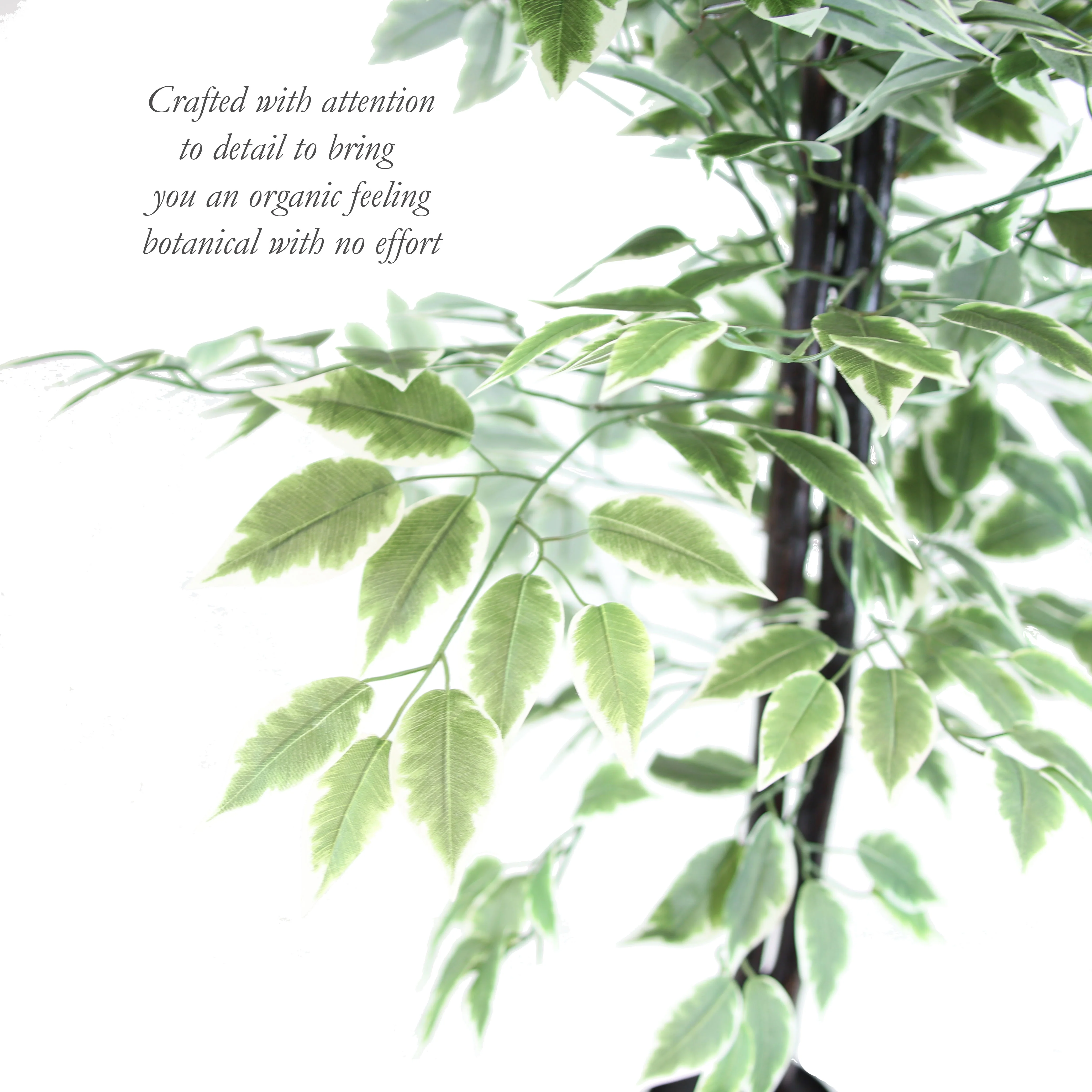 The Mod Greenhouse 64