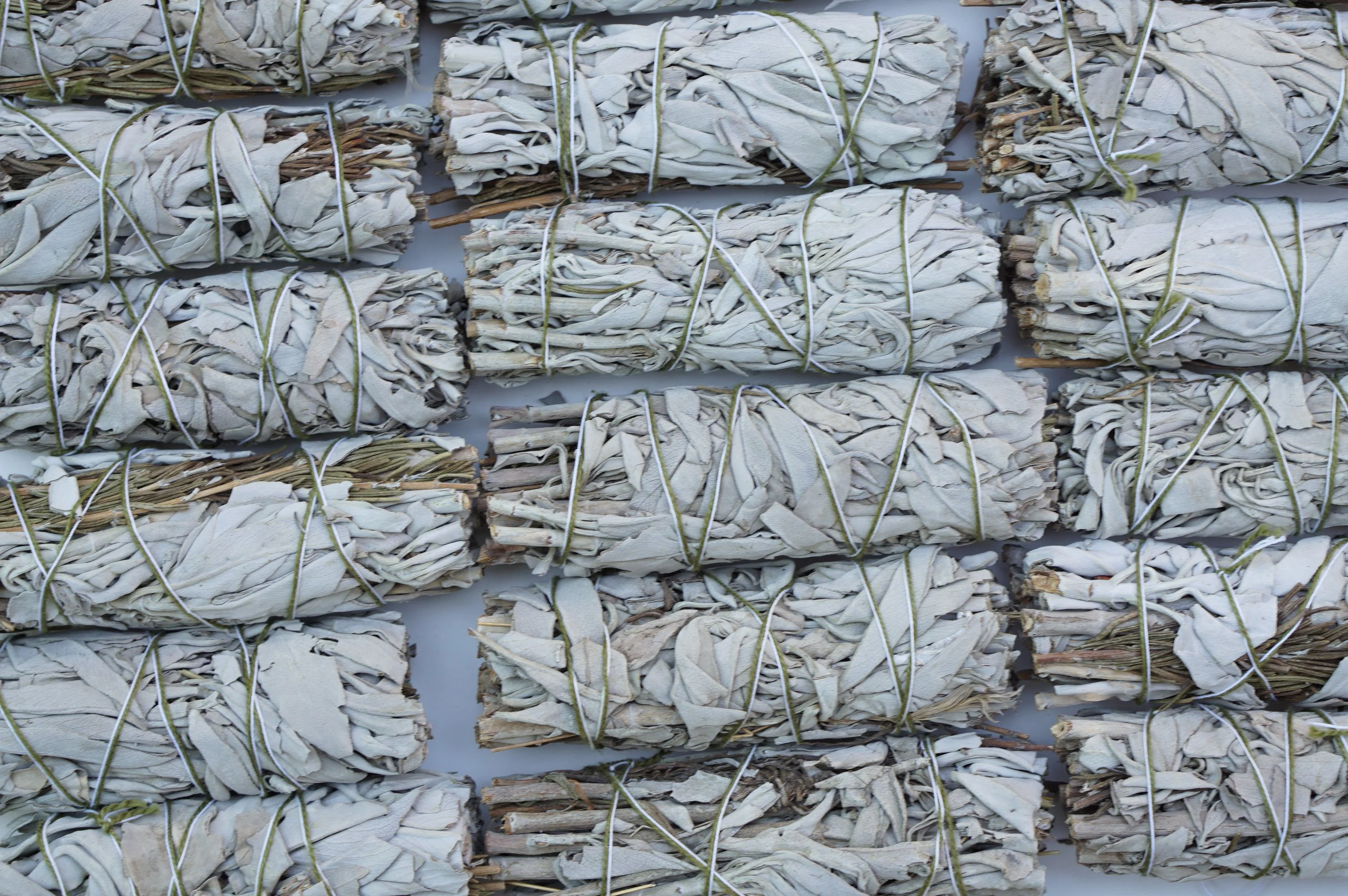 20pcs Organic White Sage Smudge 4 inches