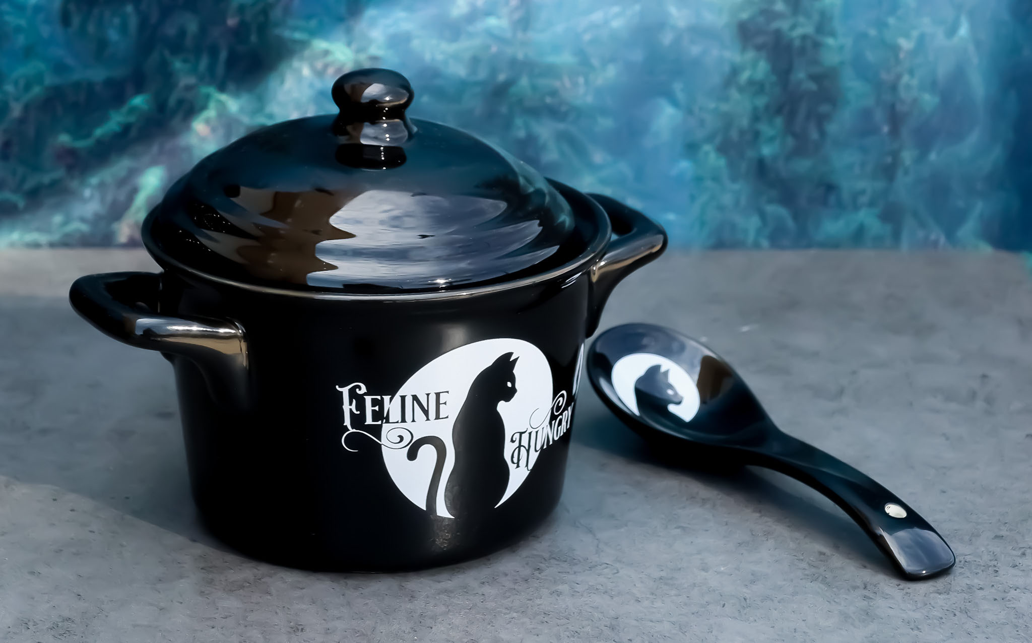 Wicca Full Moon Black Cat Feline Hungry Fine Bone China Bowl With Spoon And Lid