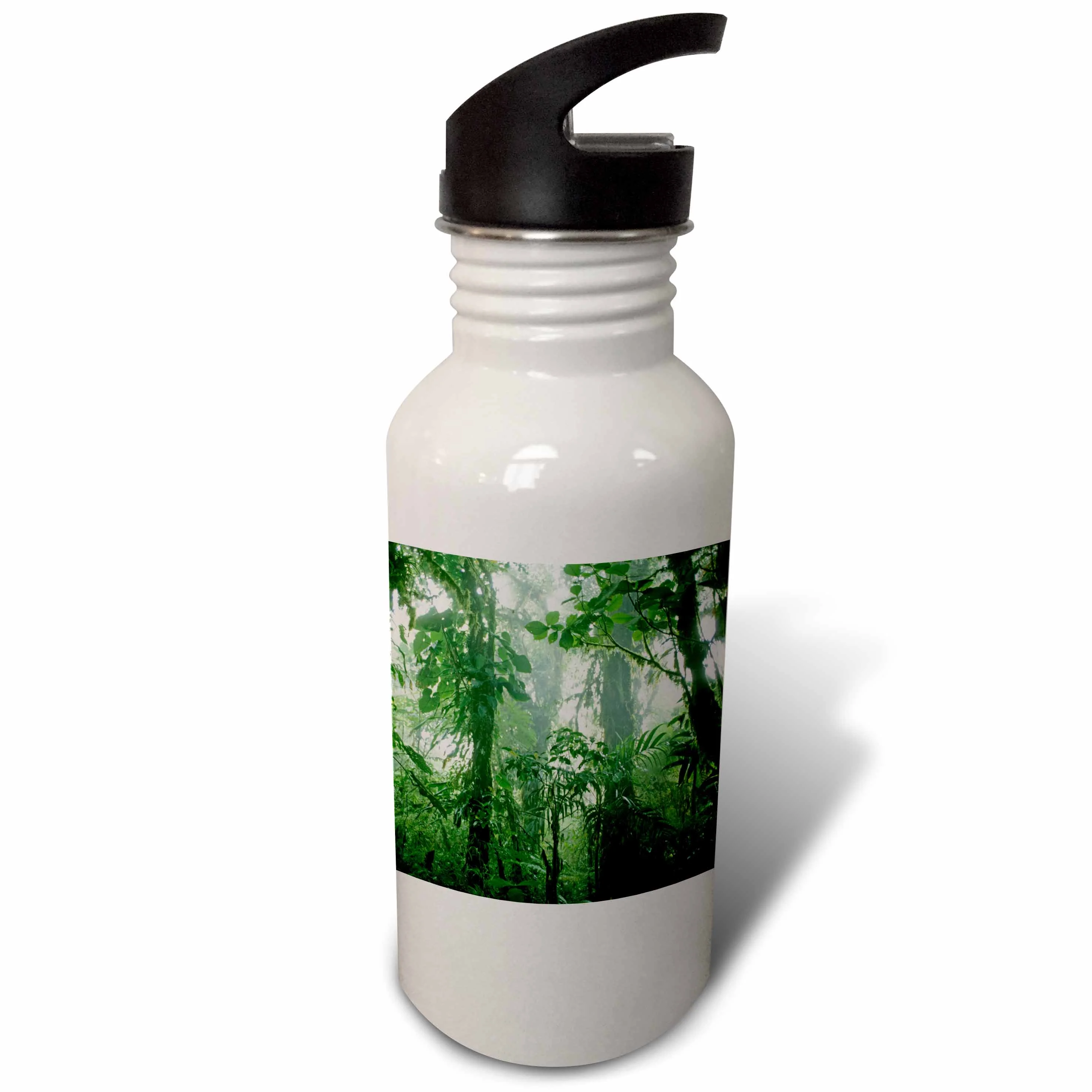 Costa Rica, Monteverde Cloud Forest, Rainforest - SA22 KSC0191 - Kevin Schafer 21 oz Sports Water Bottle wb-87236-1