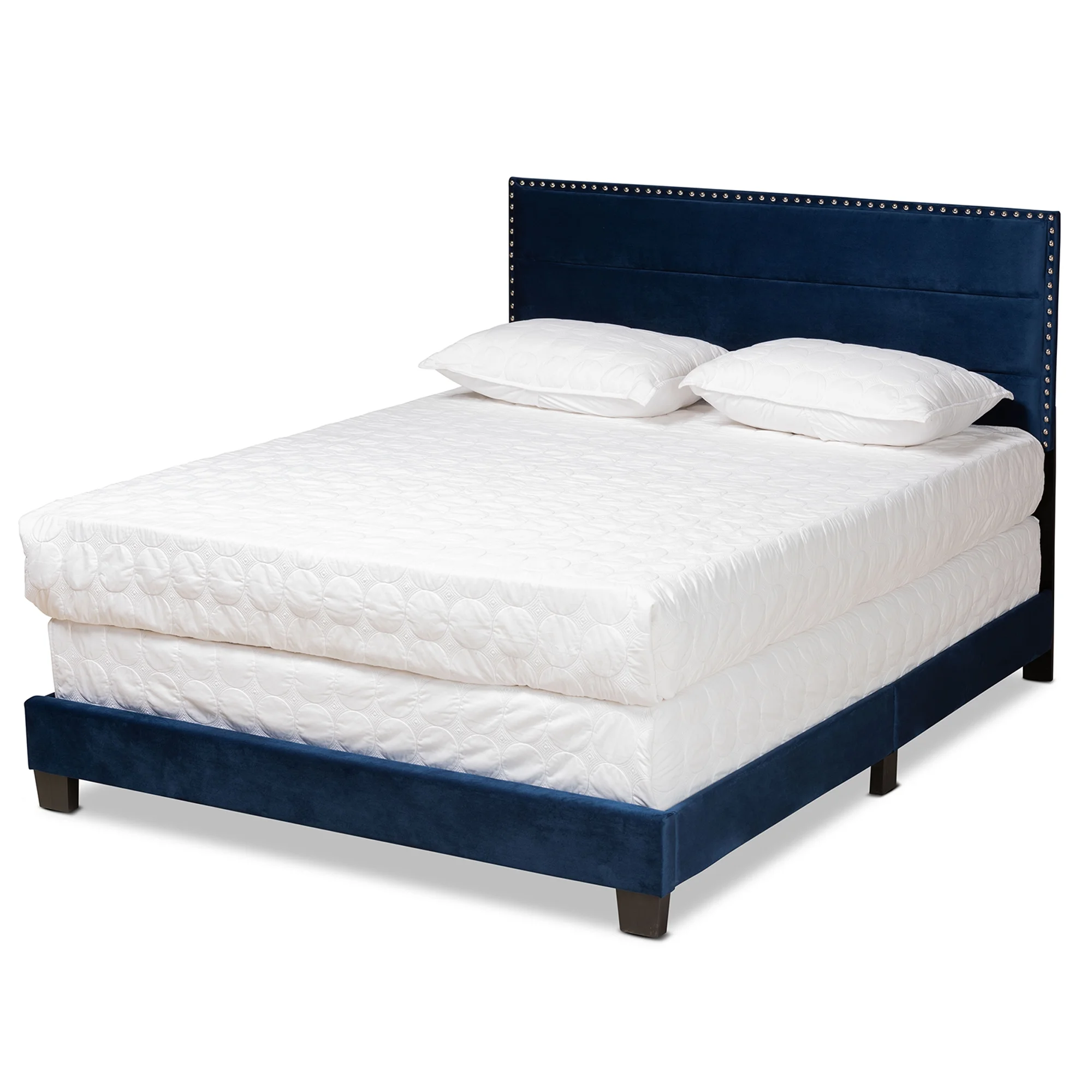 Baxton Studio Tamira Contemporary/Modern Velvet Tufted Panel Bed, Queen, Navy Blue/Black