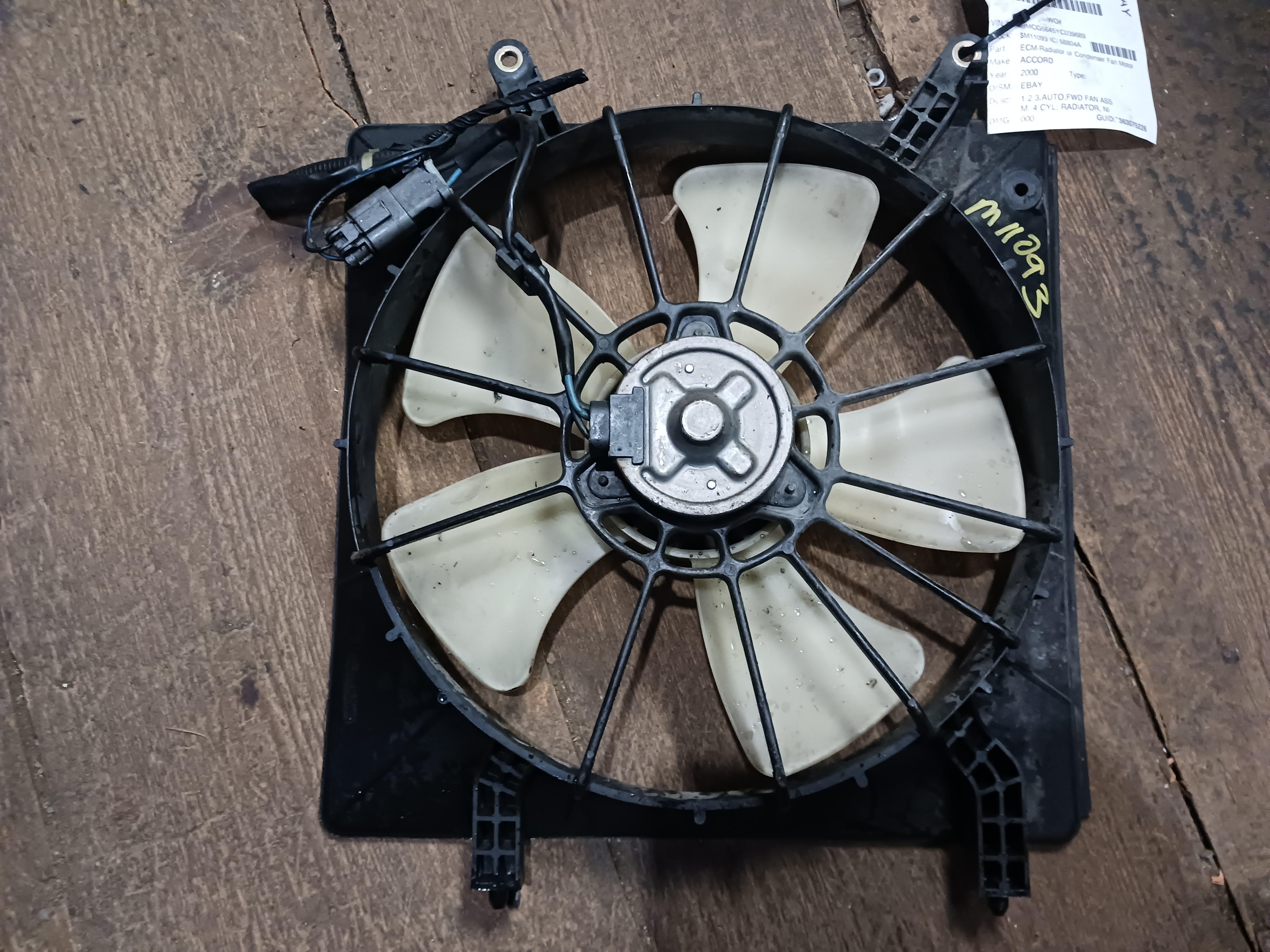 Pre-Owned 98 99 00 Honda Accord Radiator Fan Motor Assembly OEM (Good)